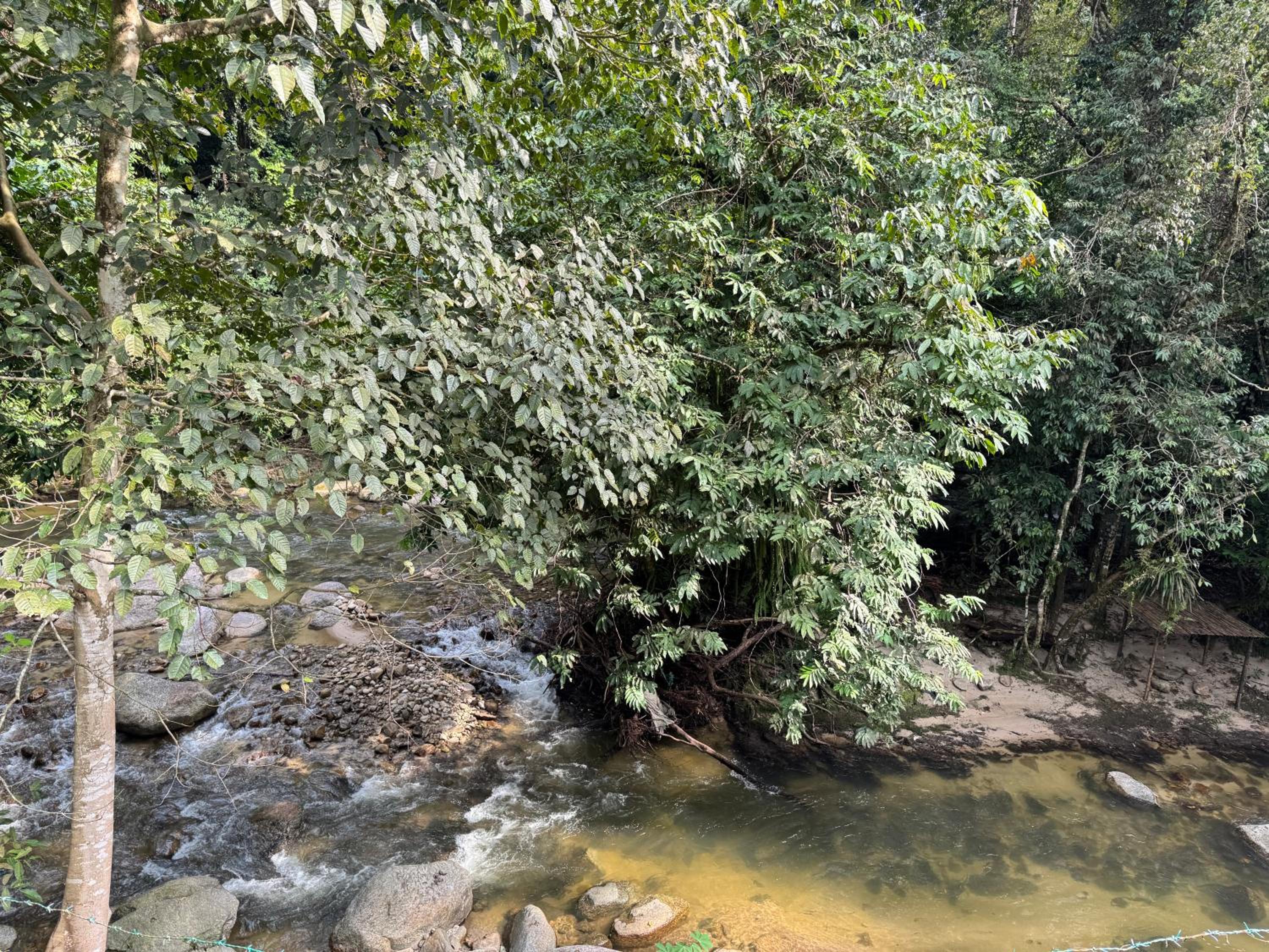 Villa Kuala Woh Resort