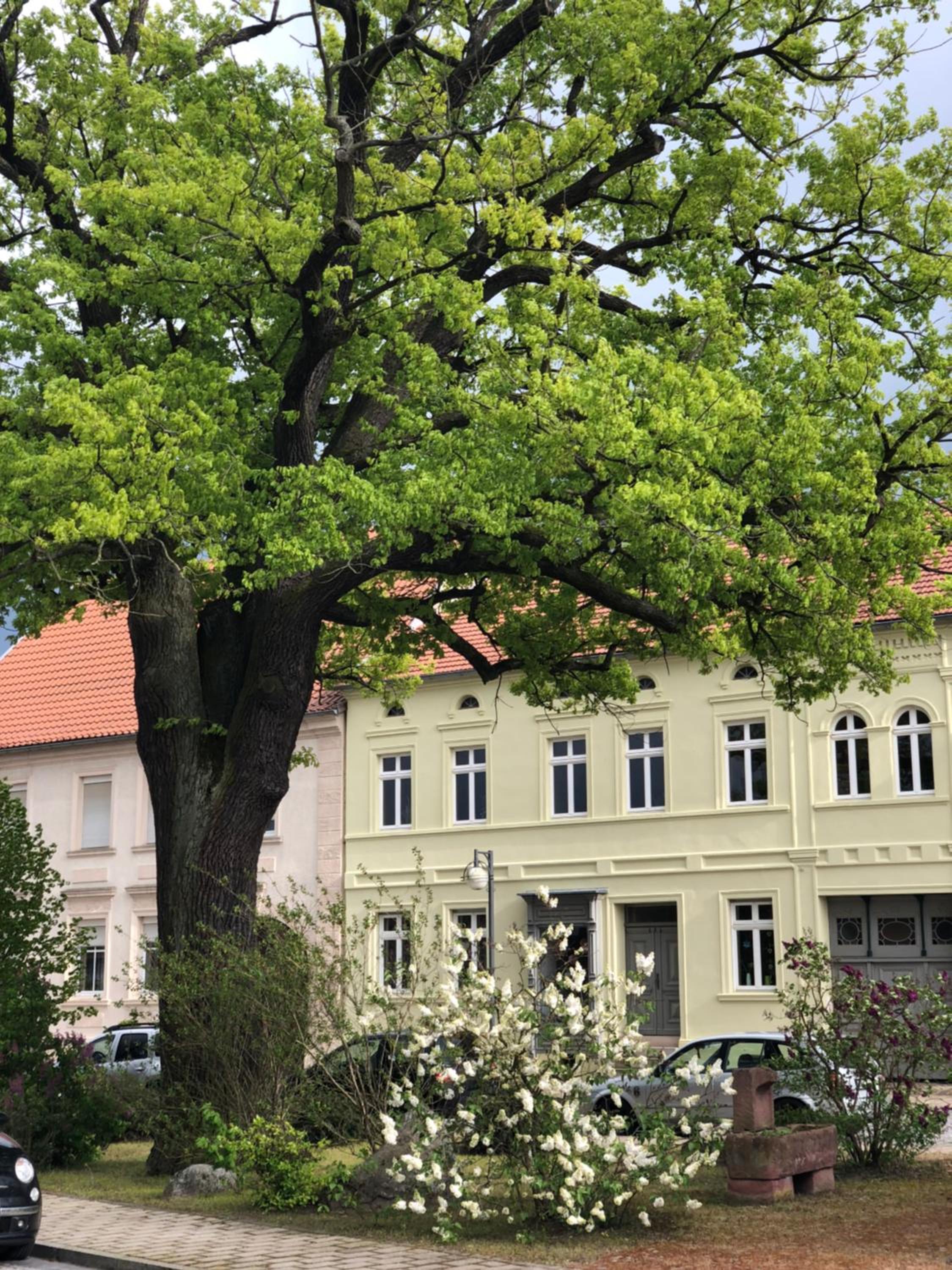 Ferienwohnung Ostblick