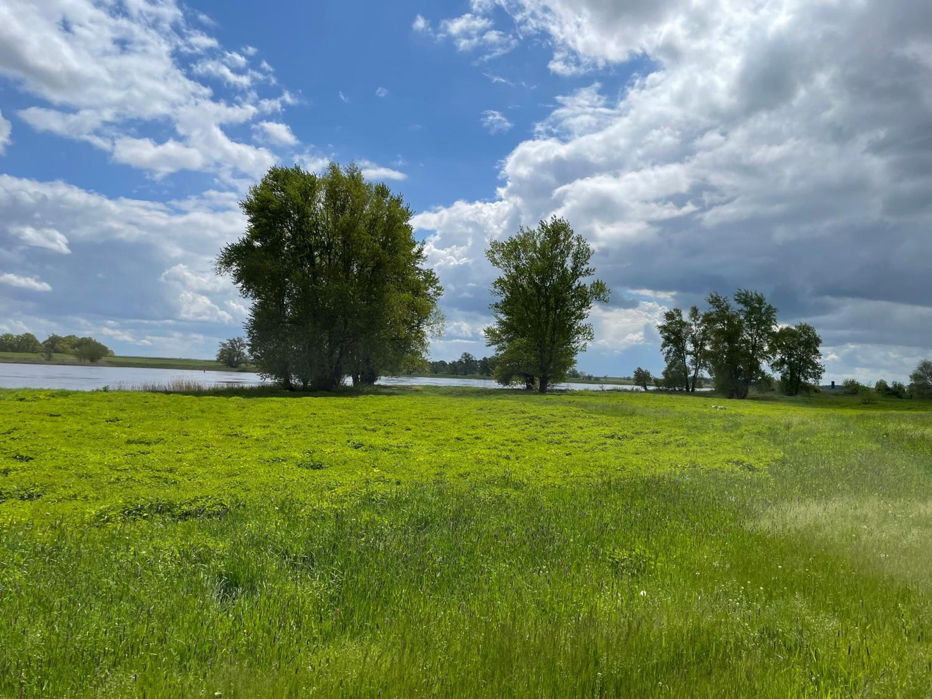 Ferienwohnung Ostblick