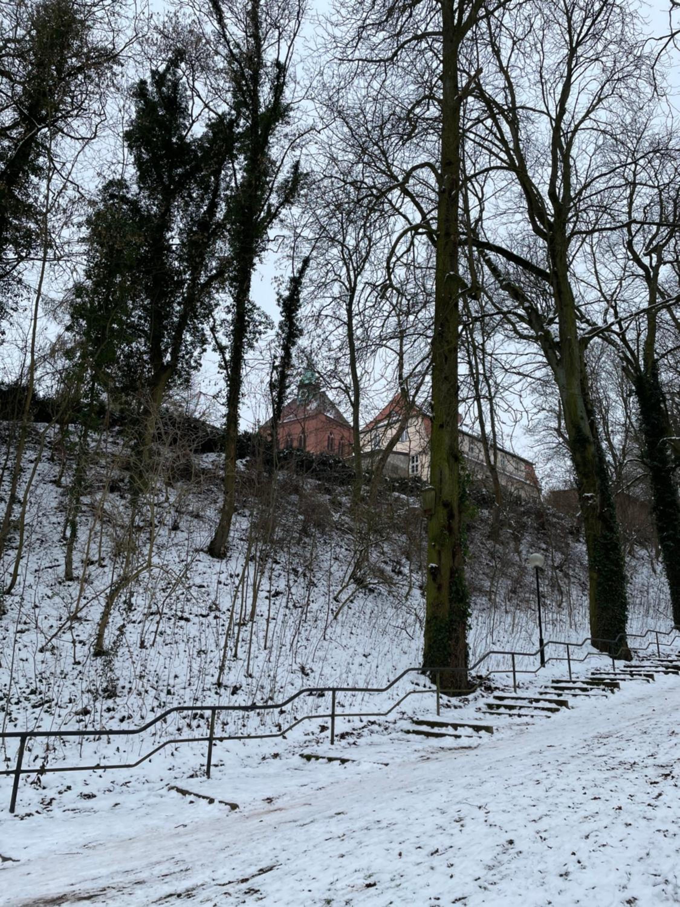 Ferienwohnung Ostblick