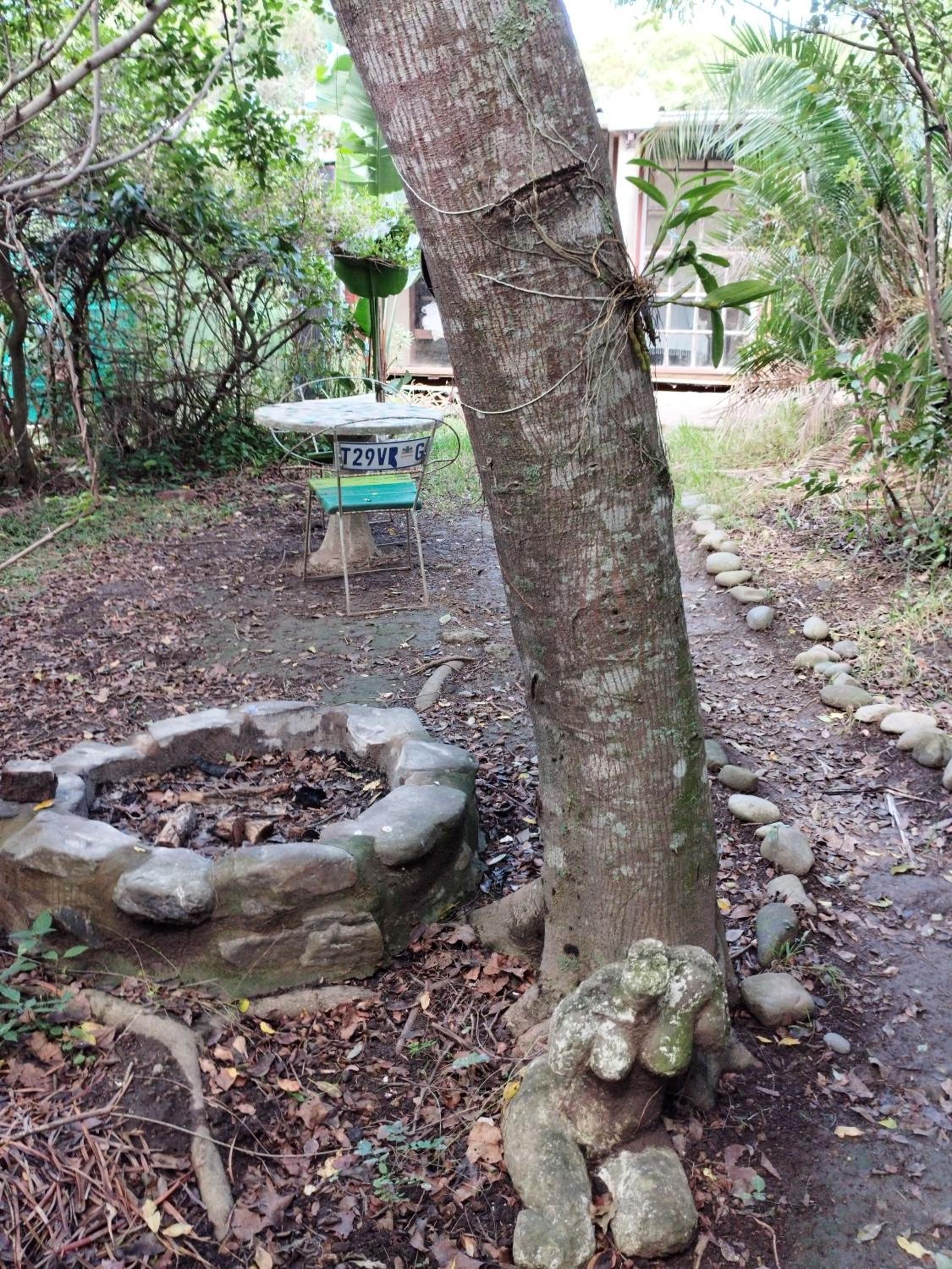 Yellowwood Forest Eco Retreat