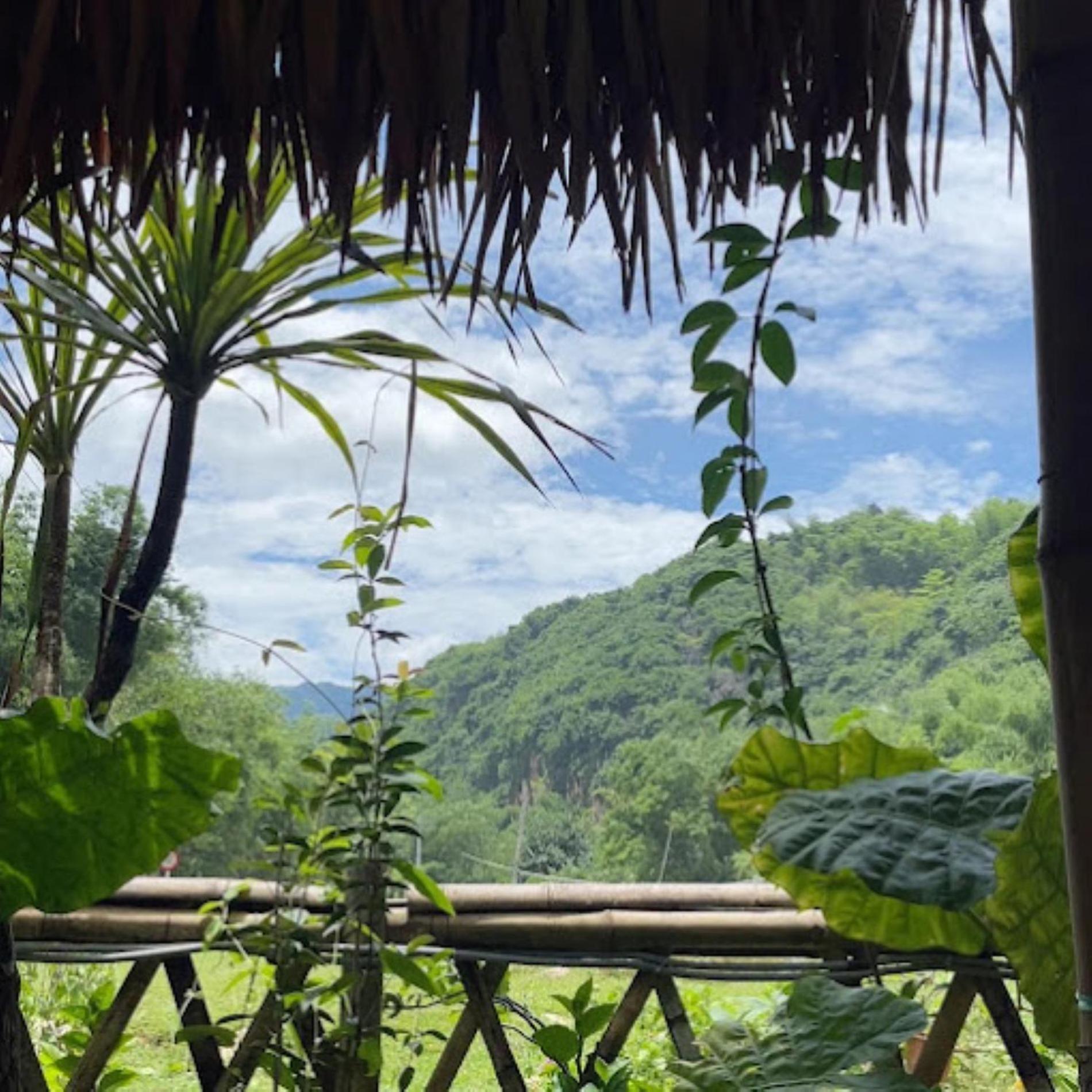Homestay Nhà Của Chi Food&Coffee
