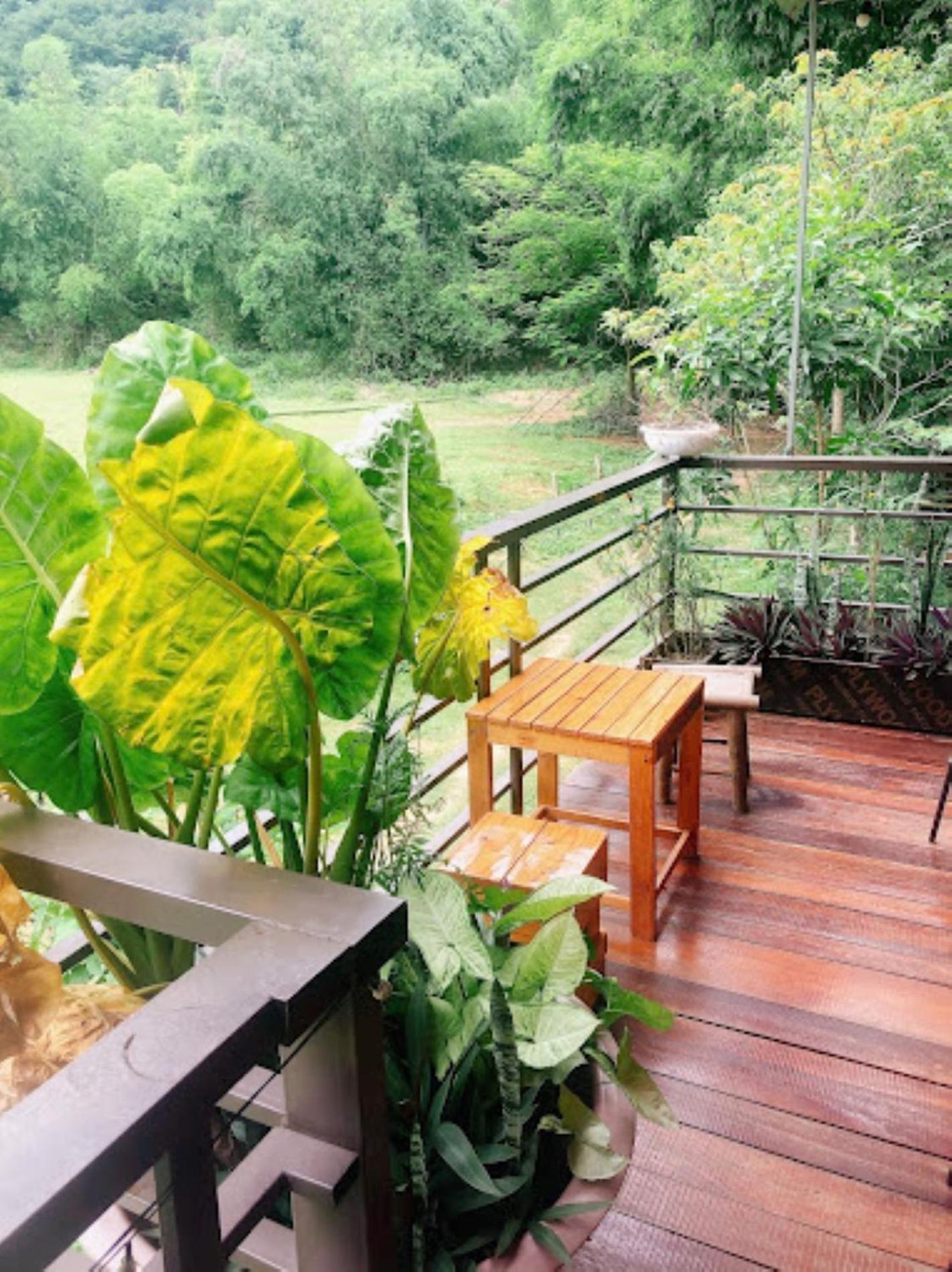 Homestay Nhà Của Chi Food&Coffee
