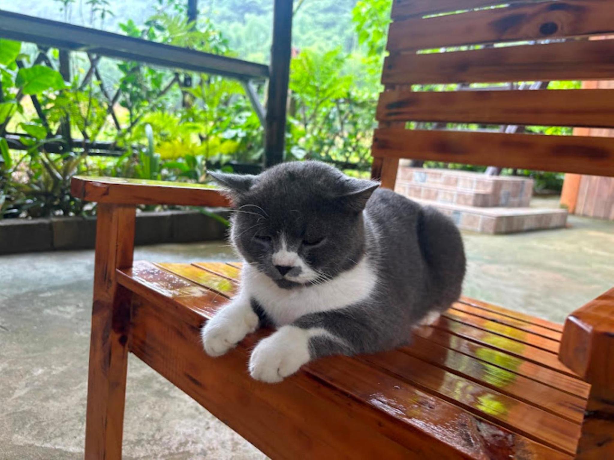 Homestay Nhà Của Chi Food&Coffee