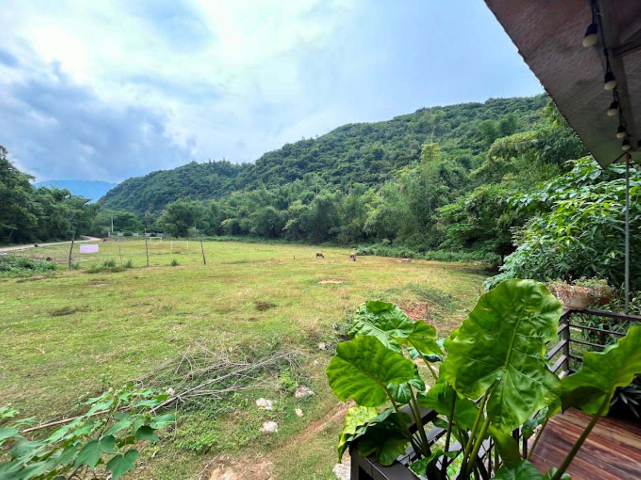 Homestay Nhà Của Chi Food&Coffee