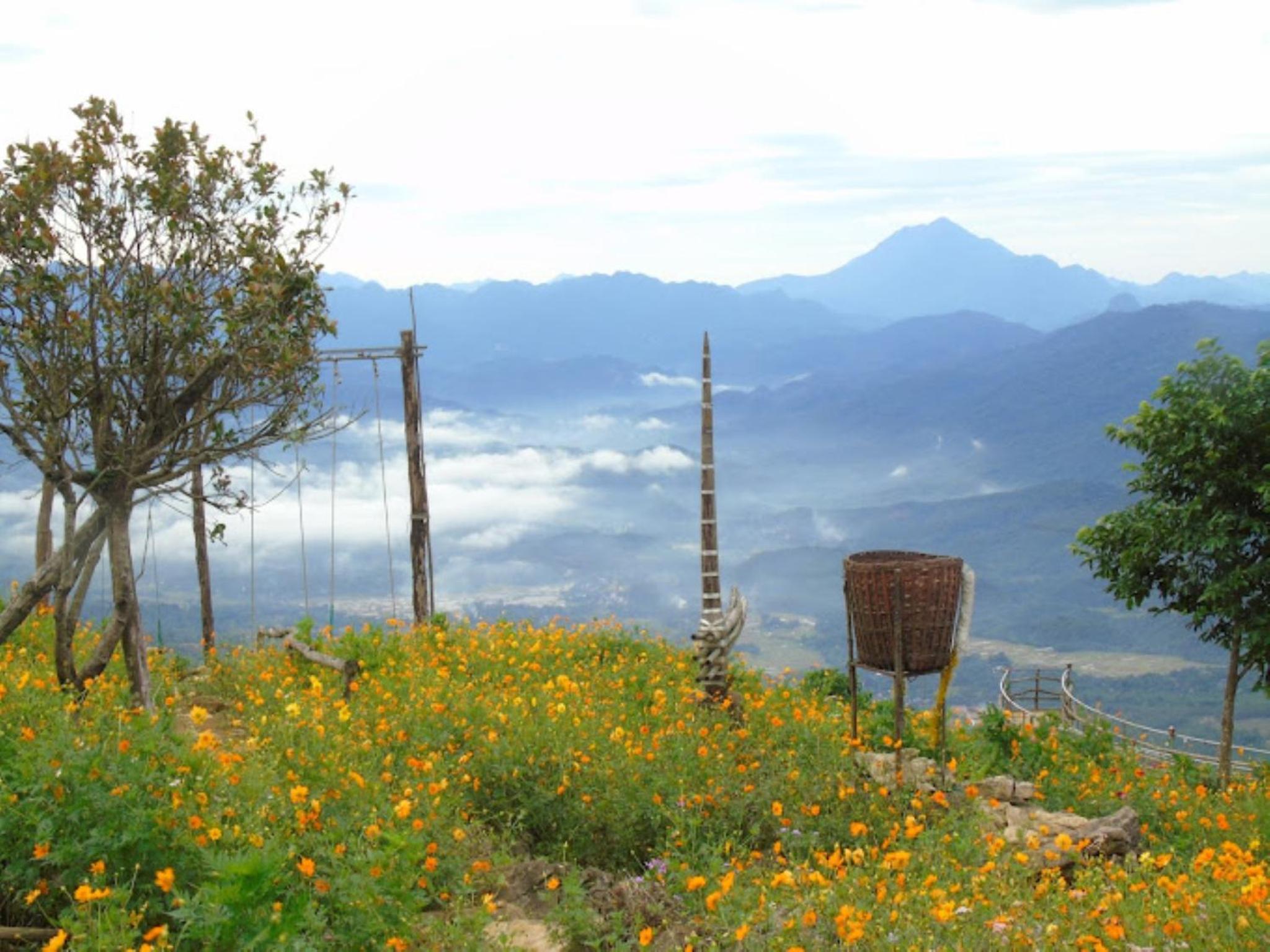 Homestay Nhà Của Chi Food&Coffee