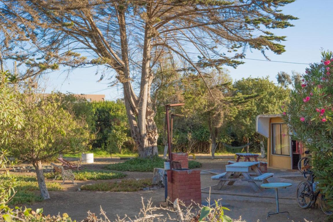 Cabañas Oasis Costa Azul