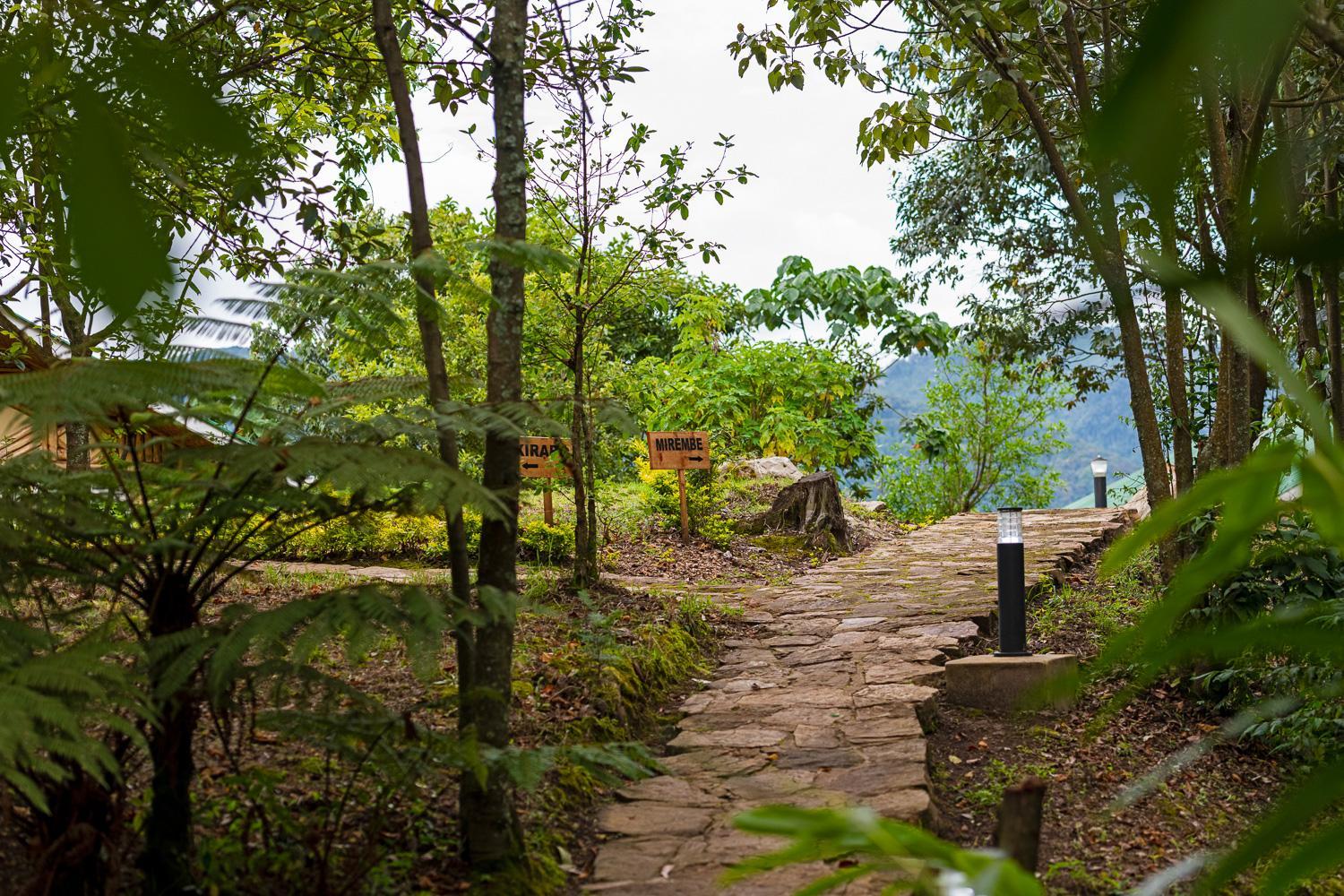 Orugano Bwindi Lodge