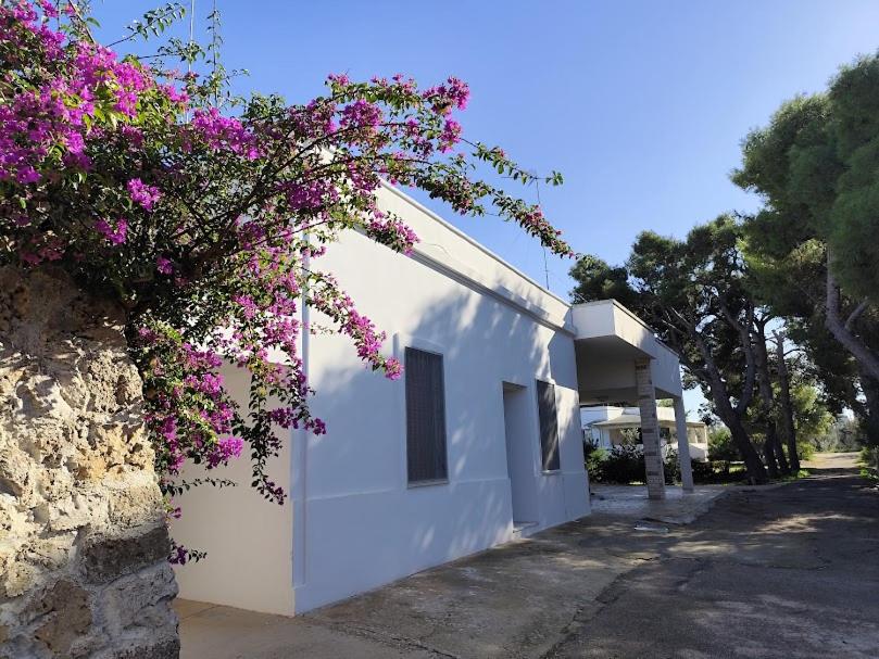 Casa di mezzo photo 3