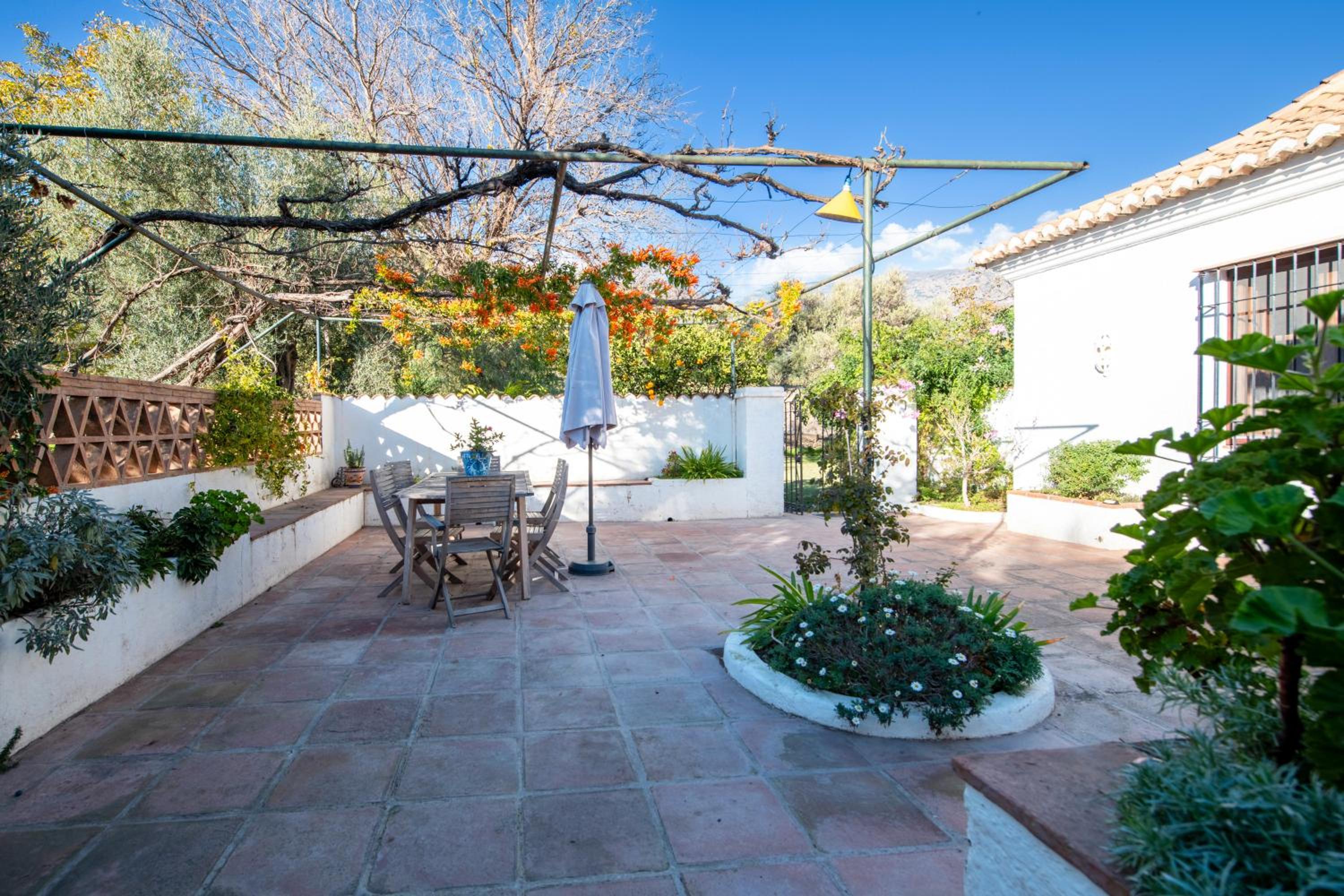 Cortijo Cabra Montés