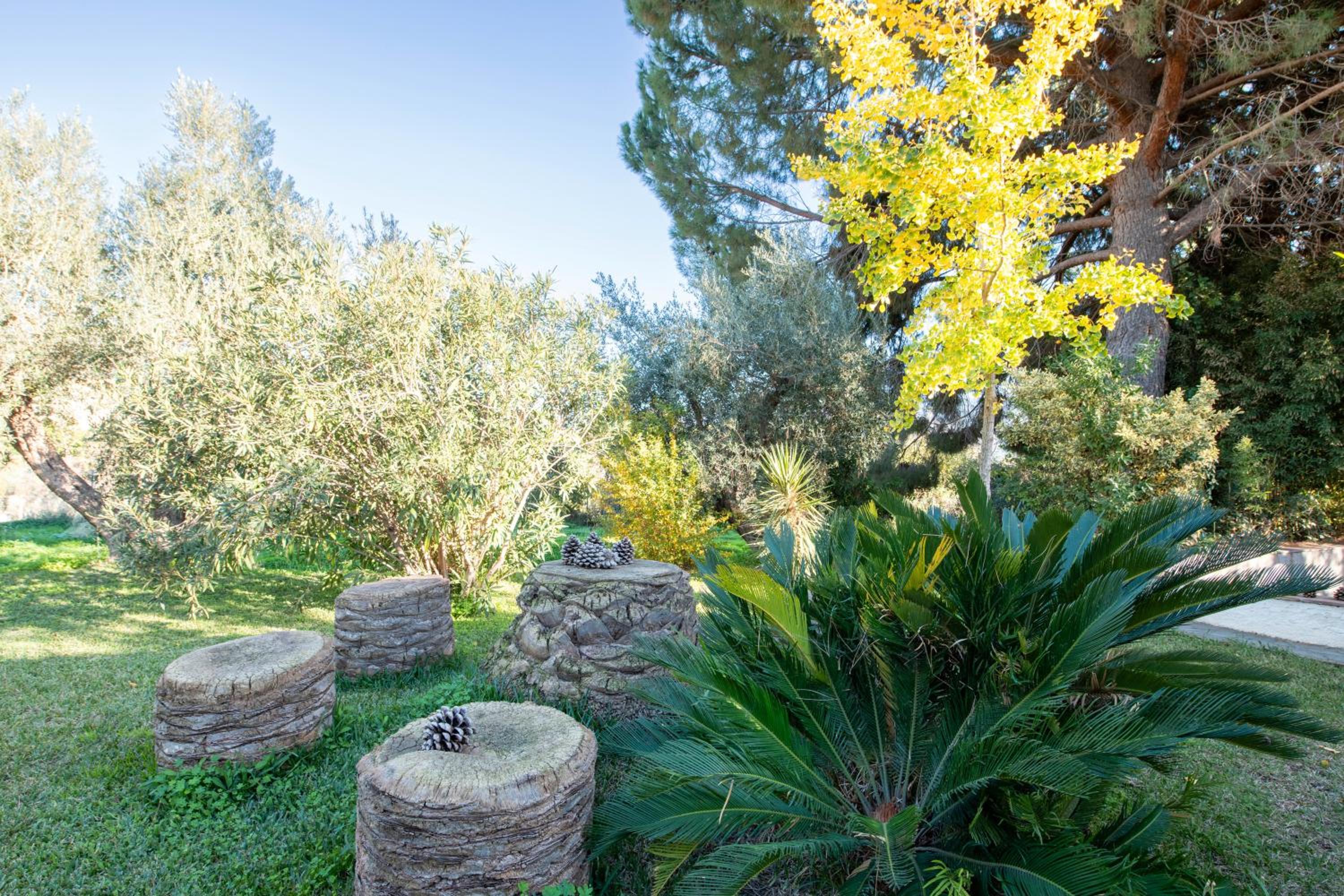 Cortijo Cabra Montés