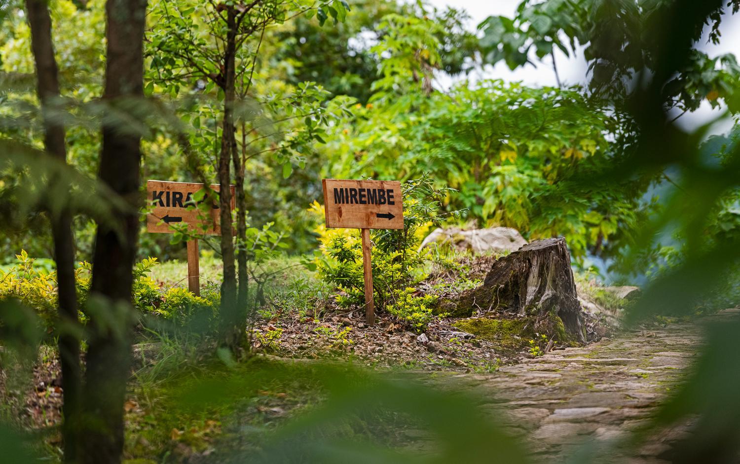 Orugano Bwindi Lodge