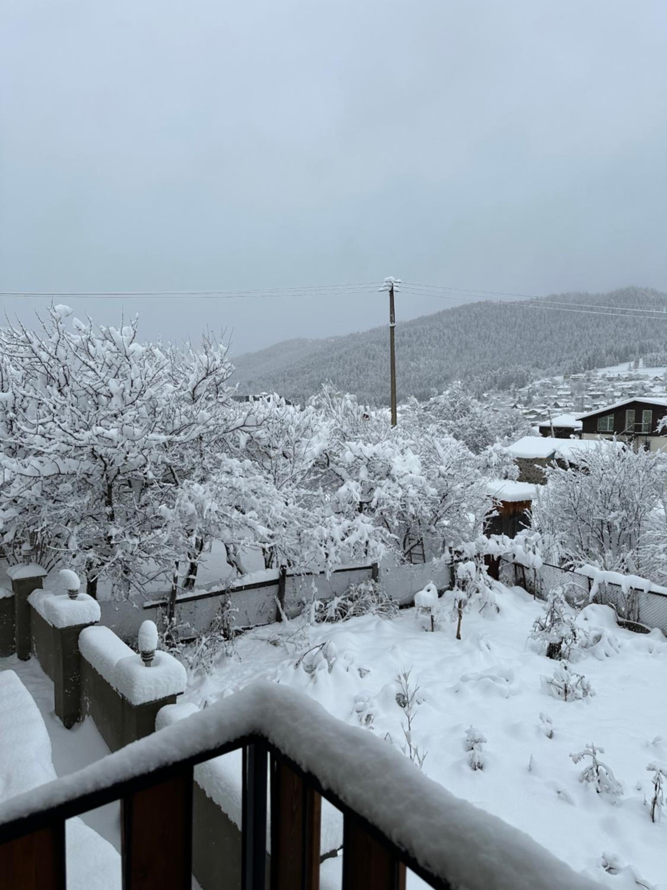 Mount Villa Bakuriani