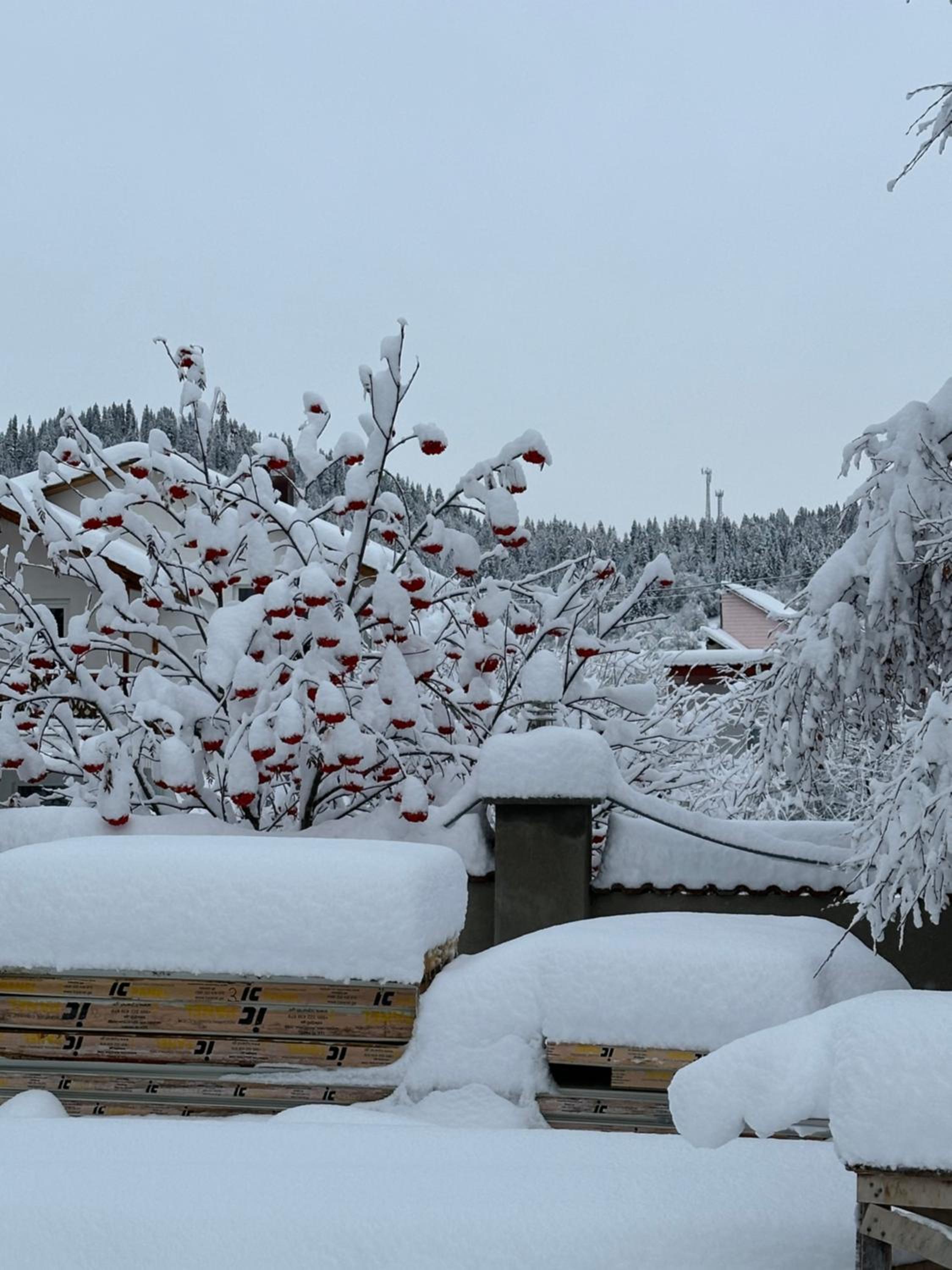 Mount Villa Bakuriani