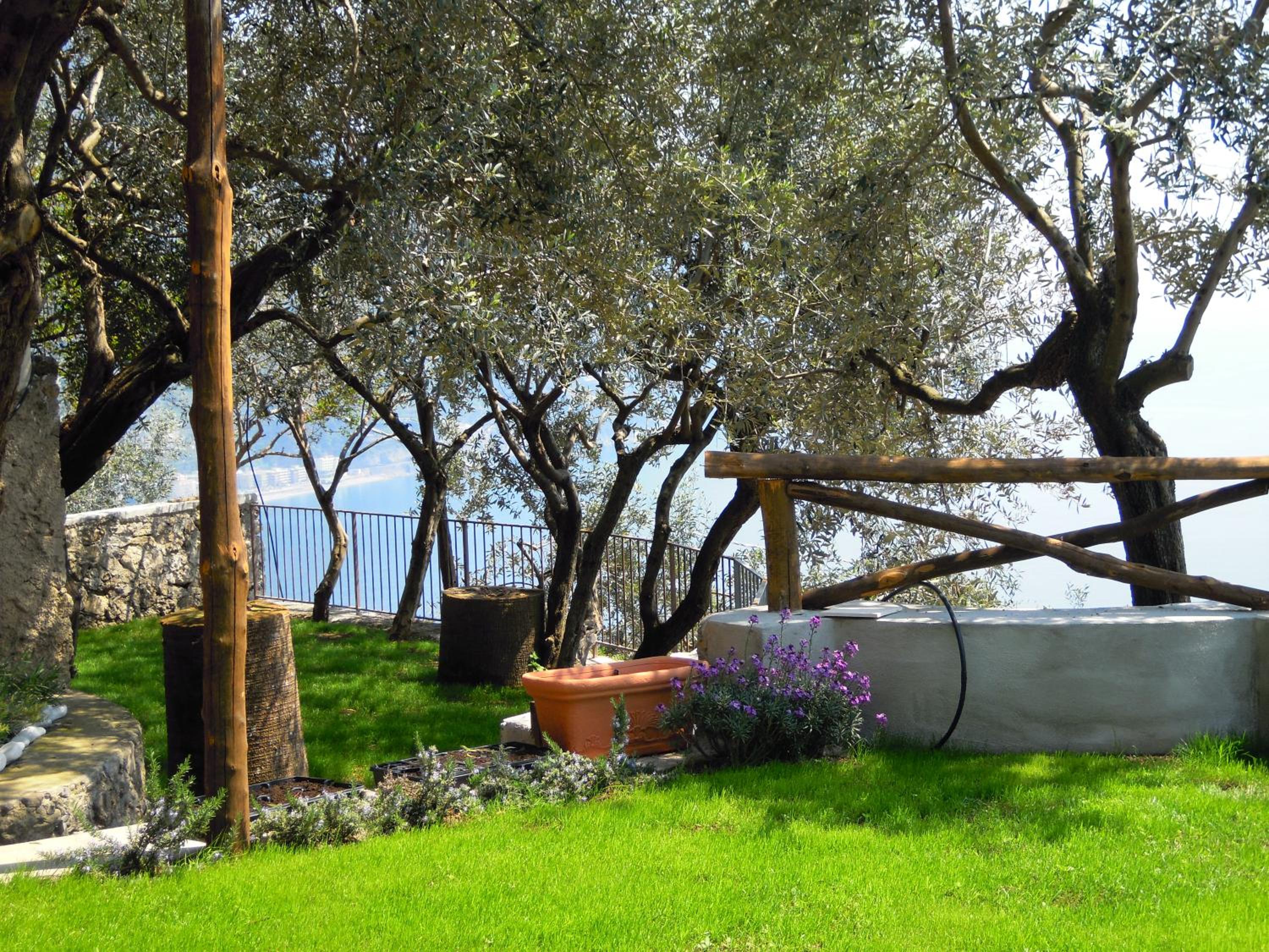 b&b I Limoni photo 5