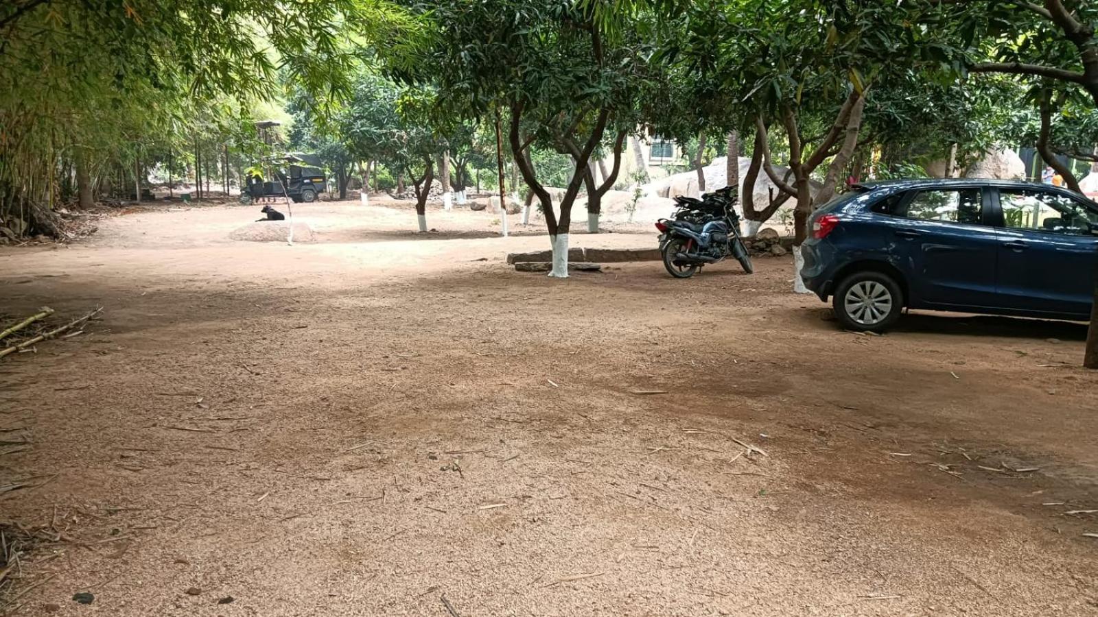 parking
