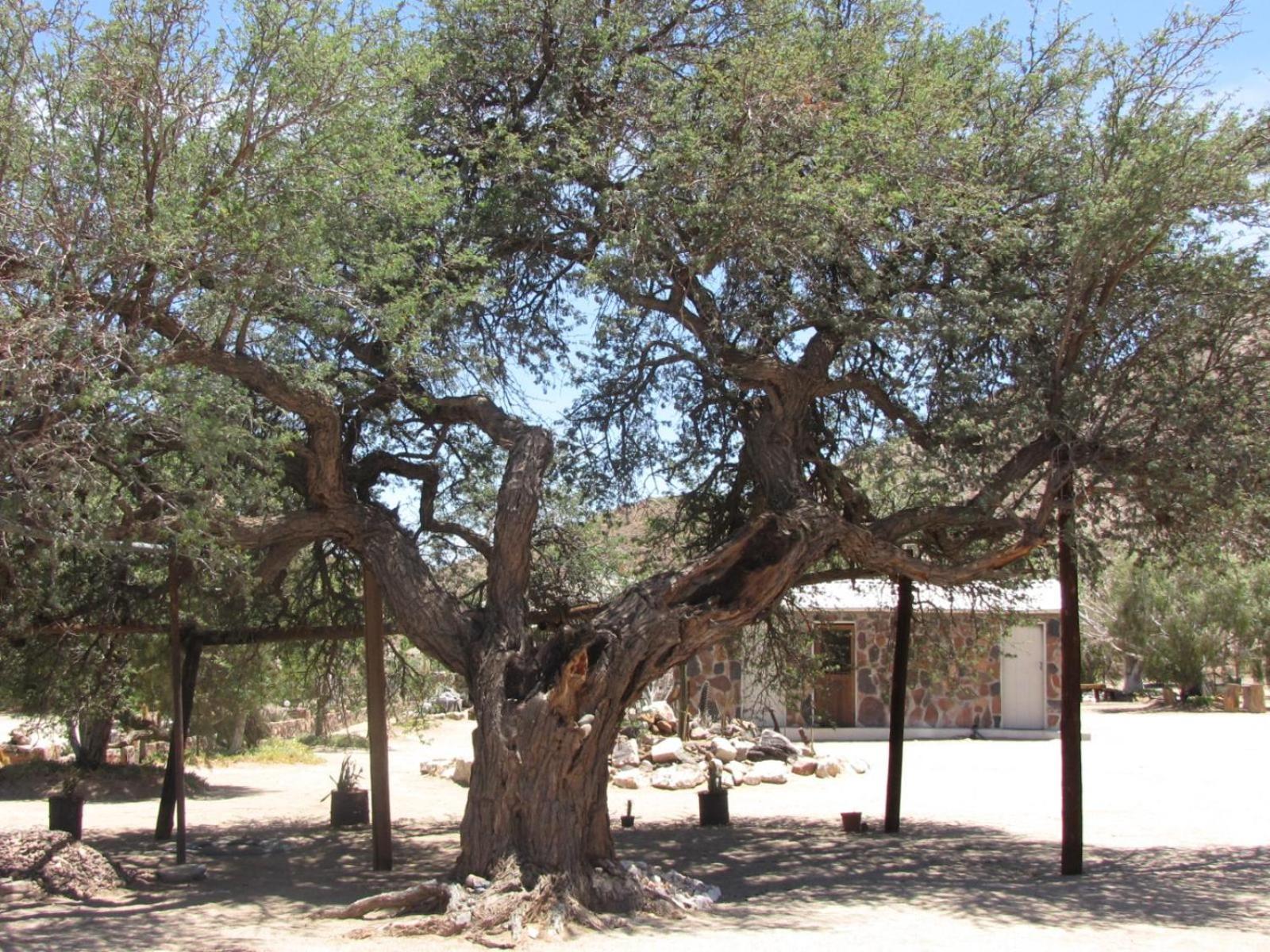 Mount Canyon Guest Farm view 3