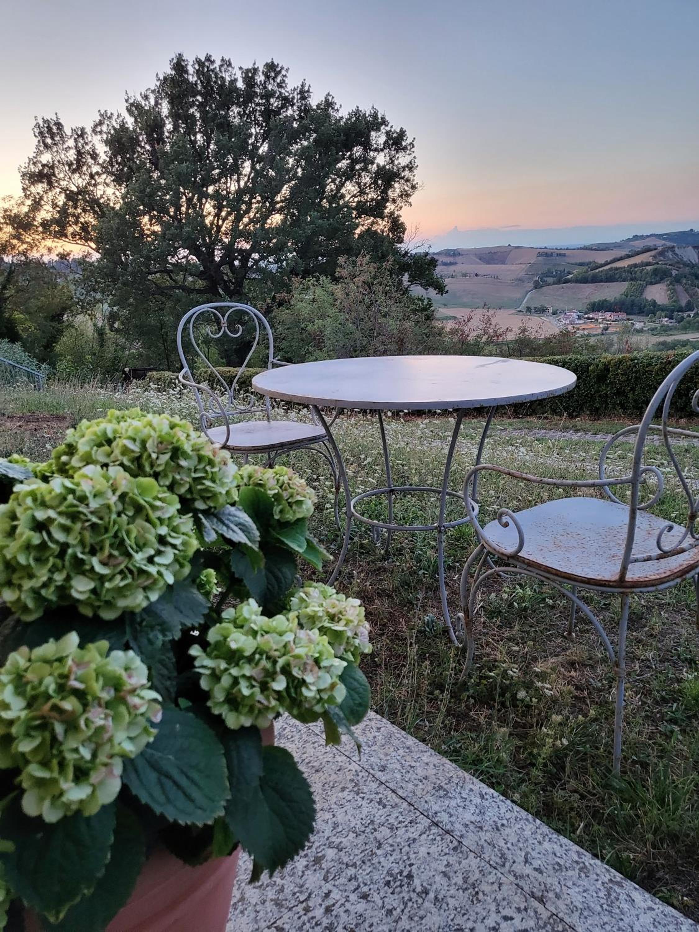 balance & terrace