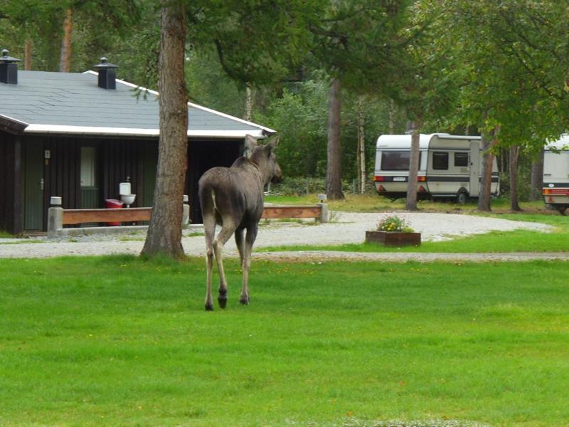 Furuly Camping view 4