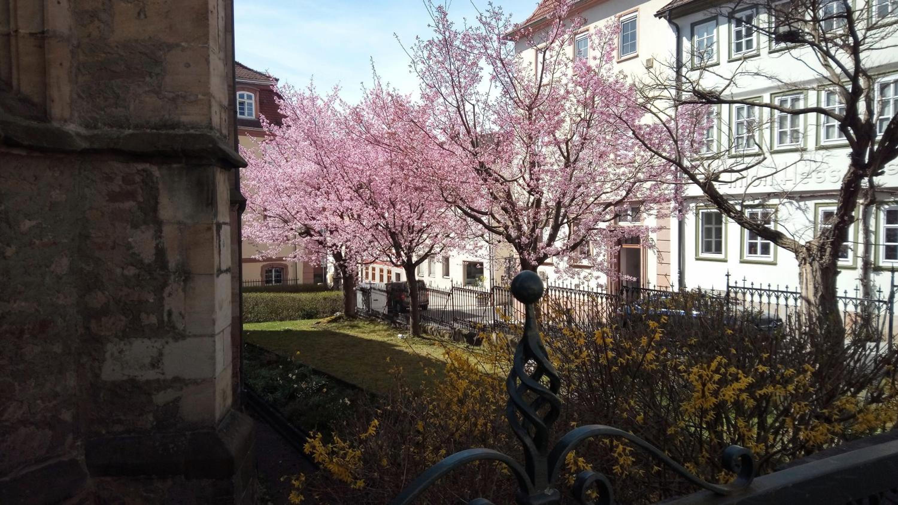Rhön Residence