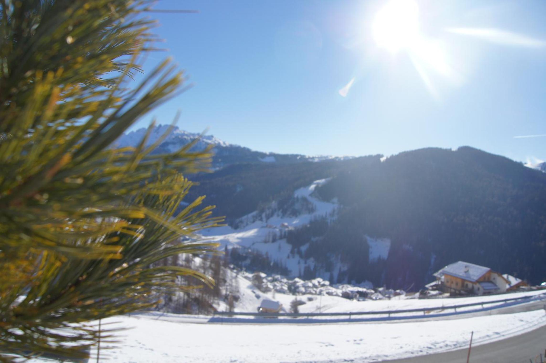 Photo 57