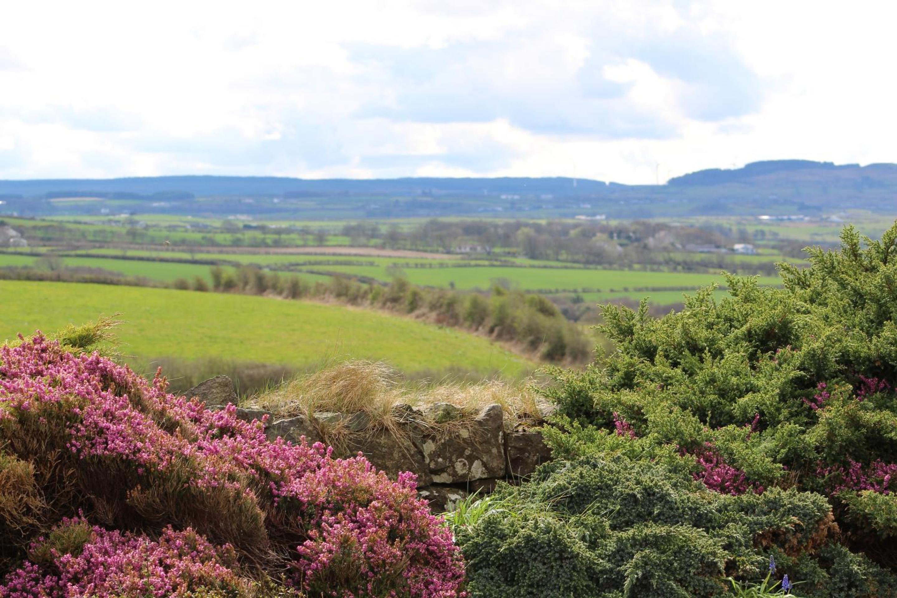 Carnalbanagh House