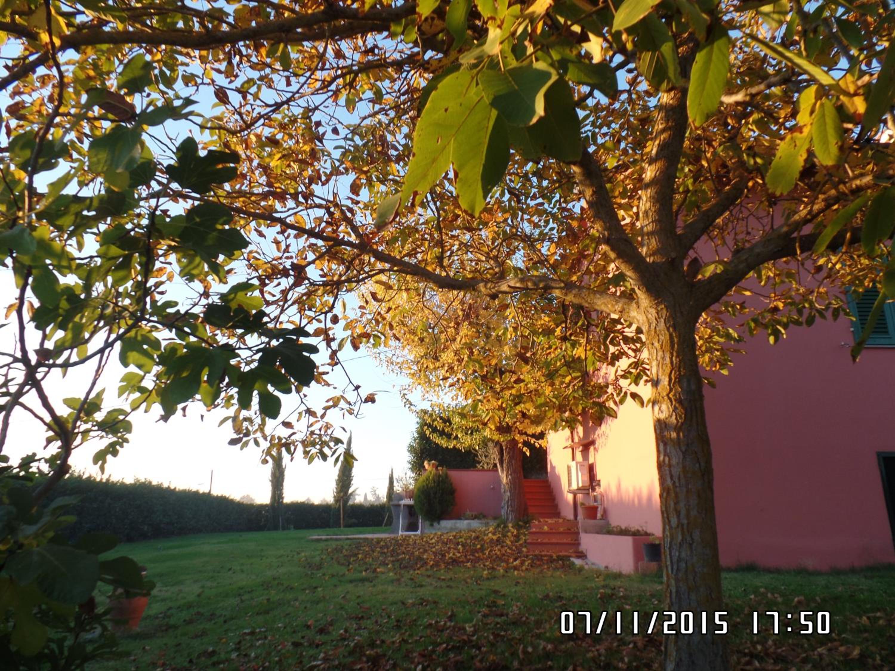 Photo 24