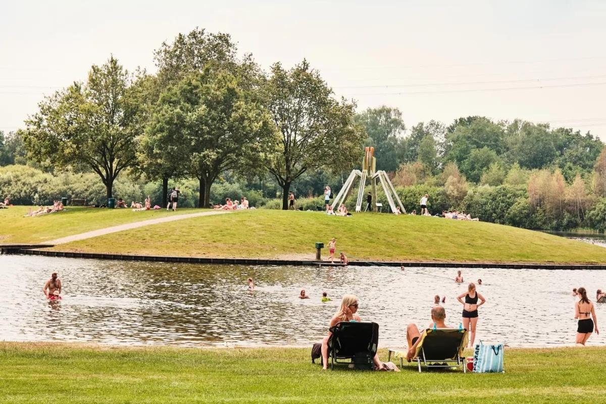 Het Bruineveld