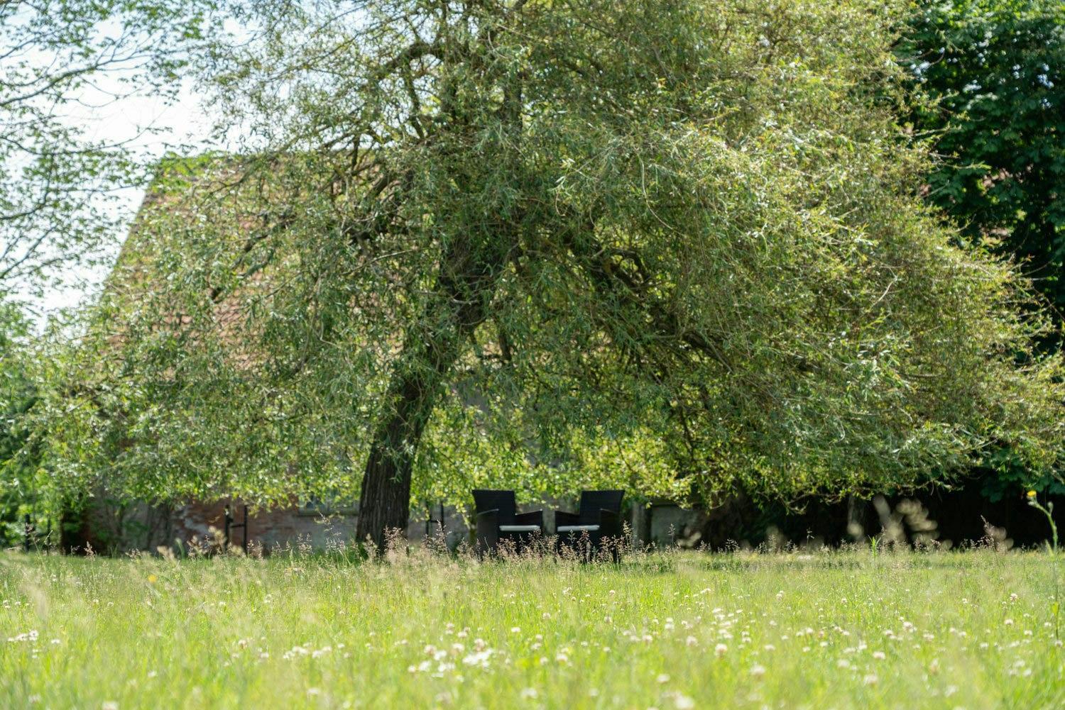 Historisk Hus I Skjoldungernes Land Park