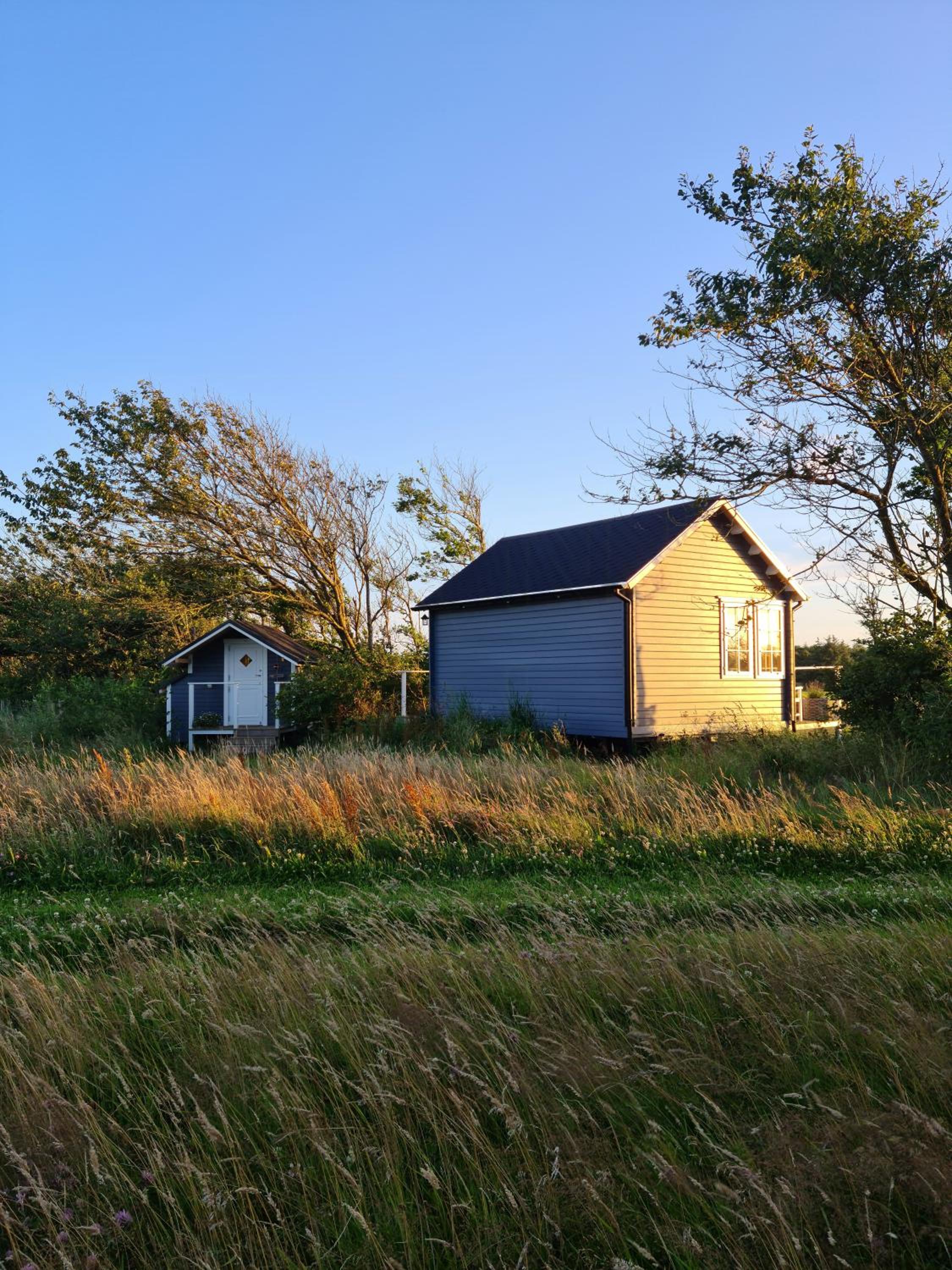 Idyllic Alpaca Cabin Overlooking The Alpaca Fold