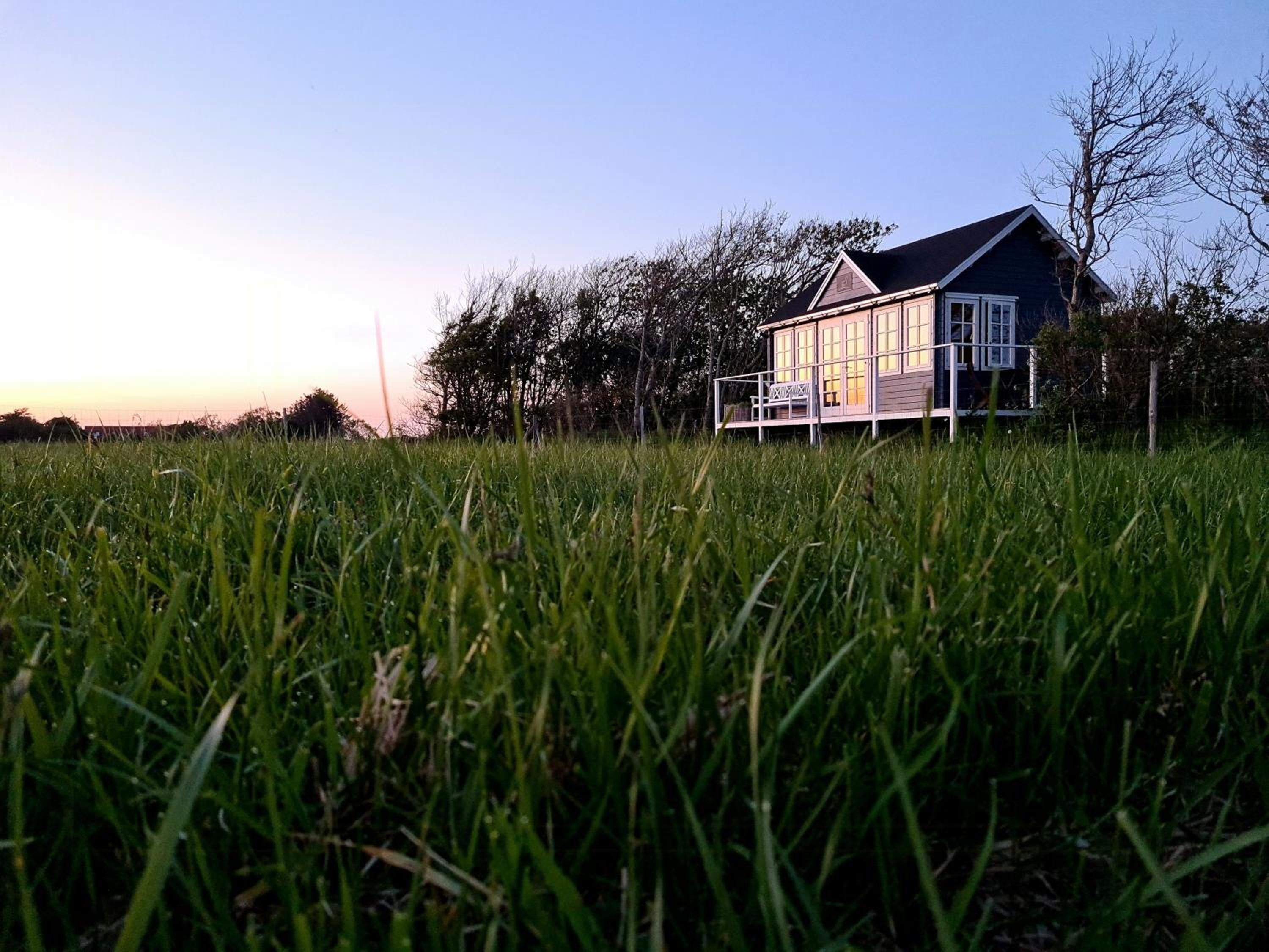 Idyllic Alpaca Cabin Overlooking The Alpaca Fold