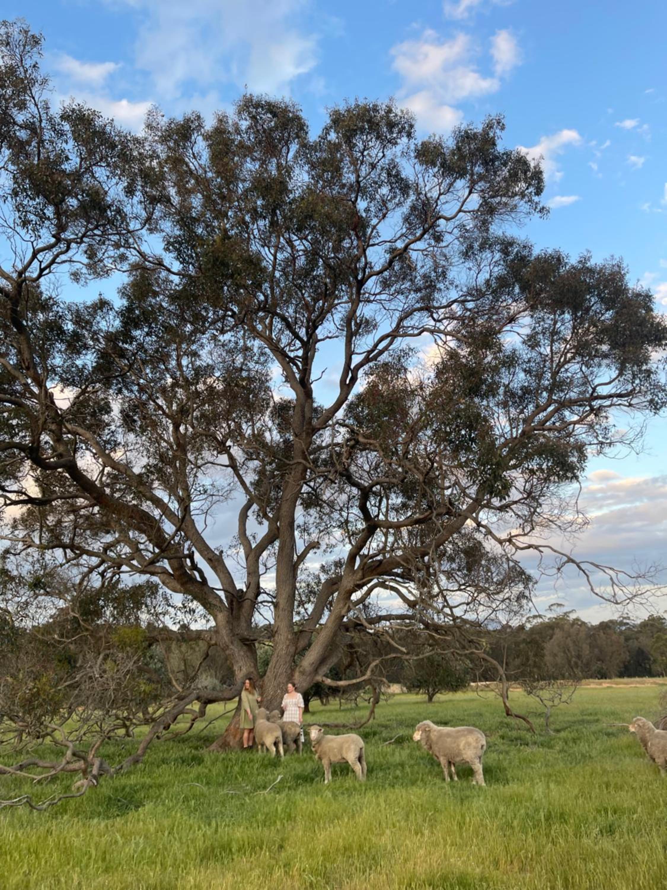 Mondurup Escape - Kendenup