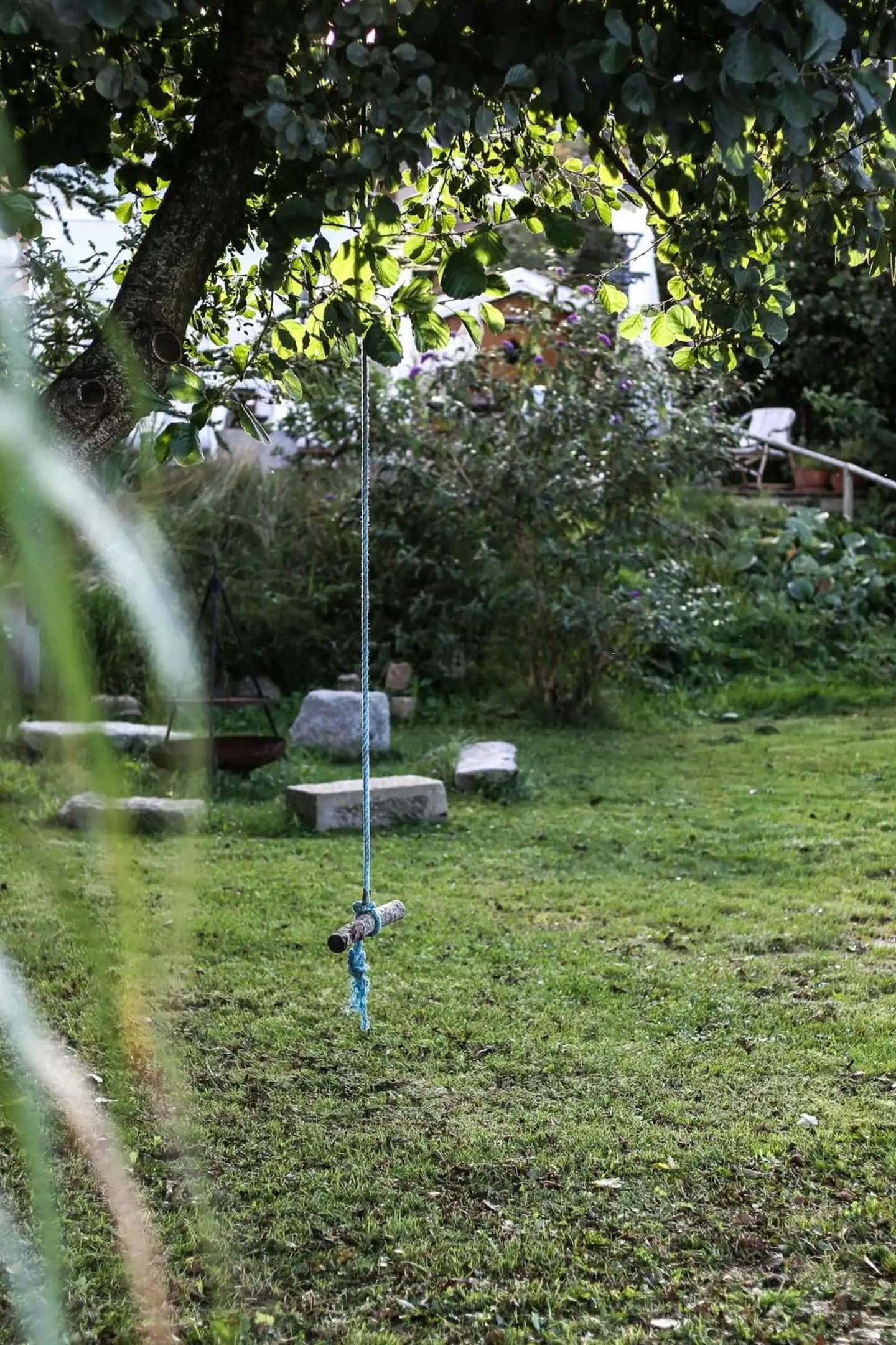 Photo 41