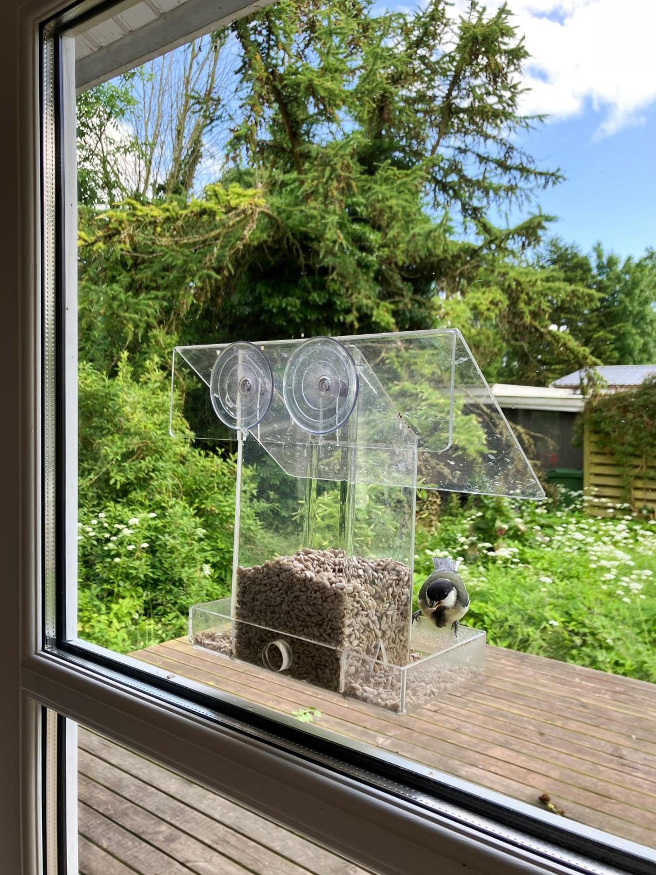 Nature-Rich Summer House With Wild Garden