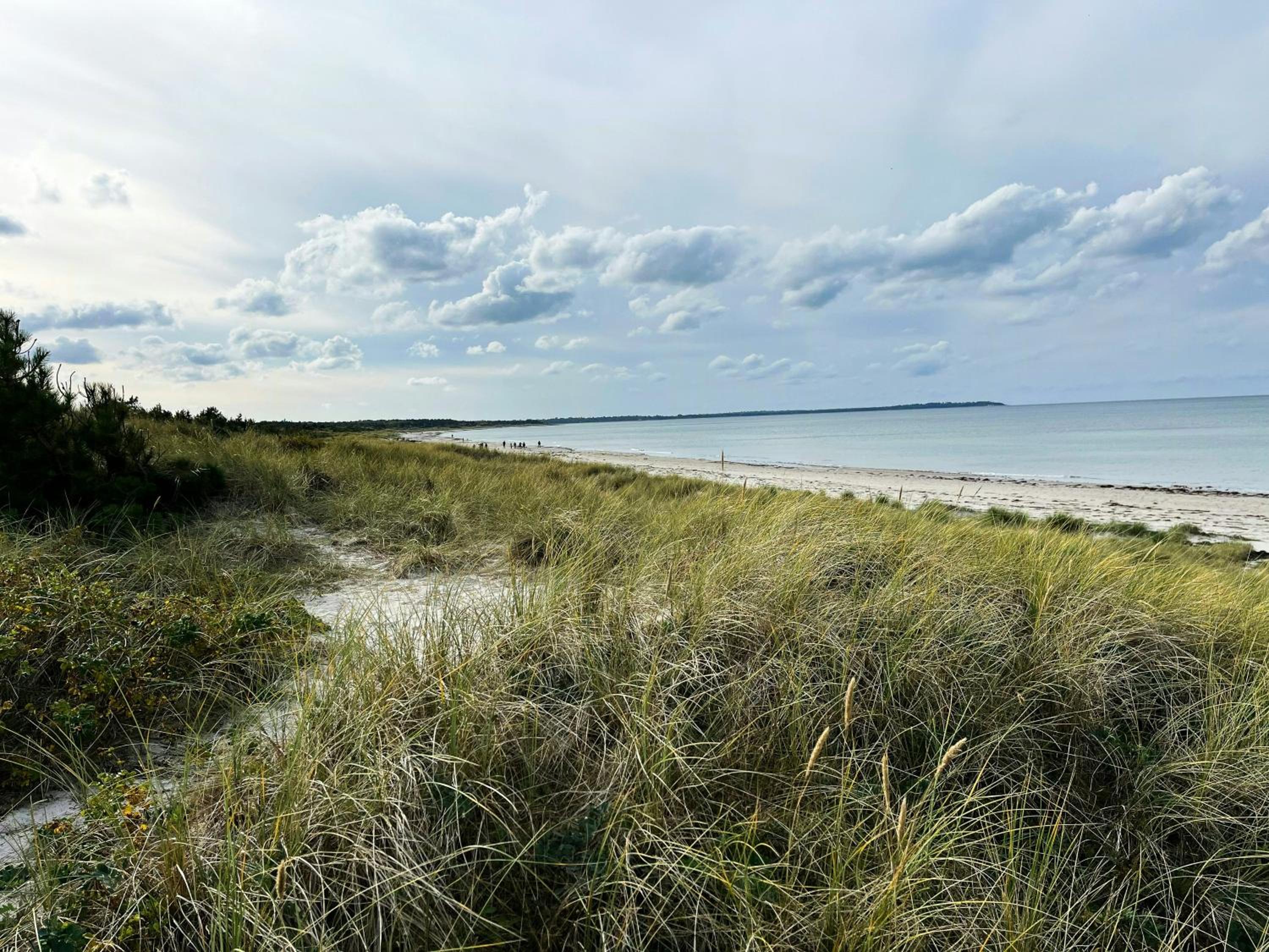 Summerhouse Close To Nature And Beach