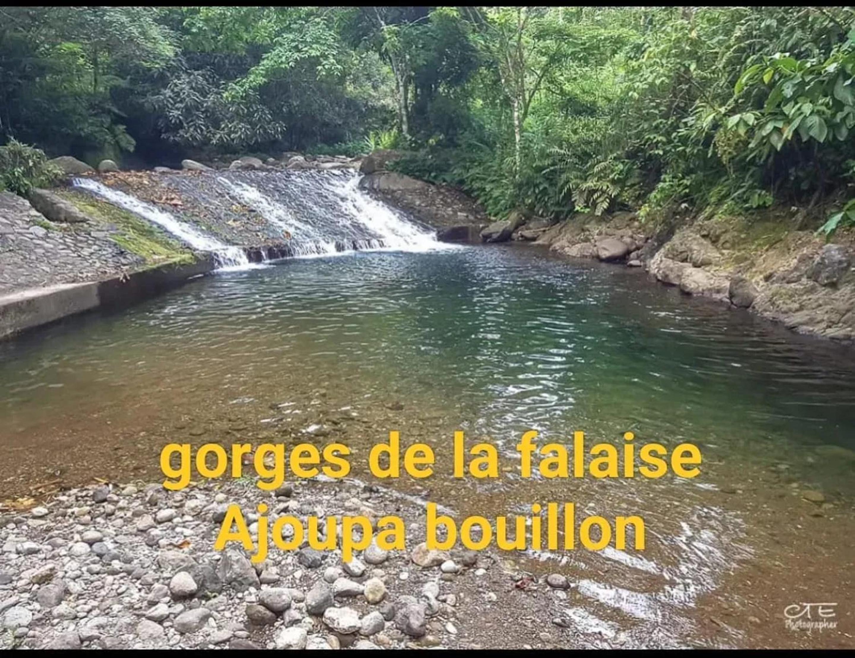 Photo 16