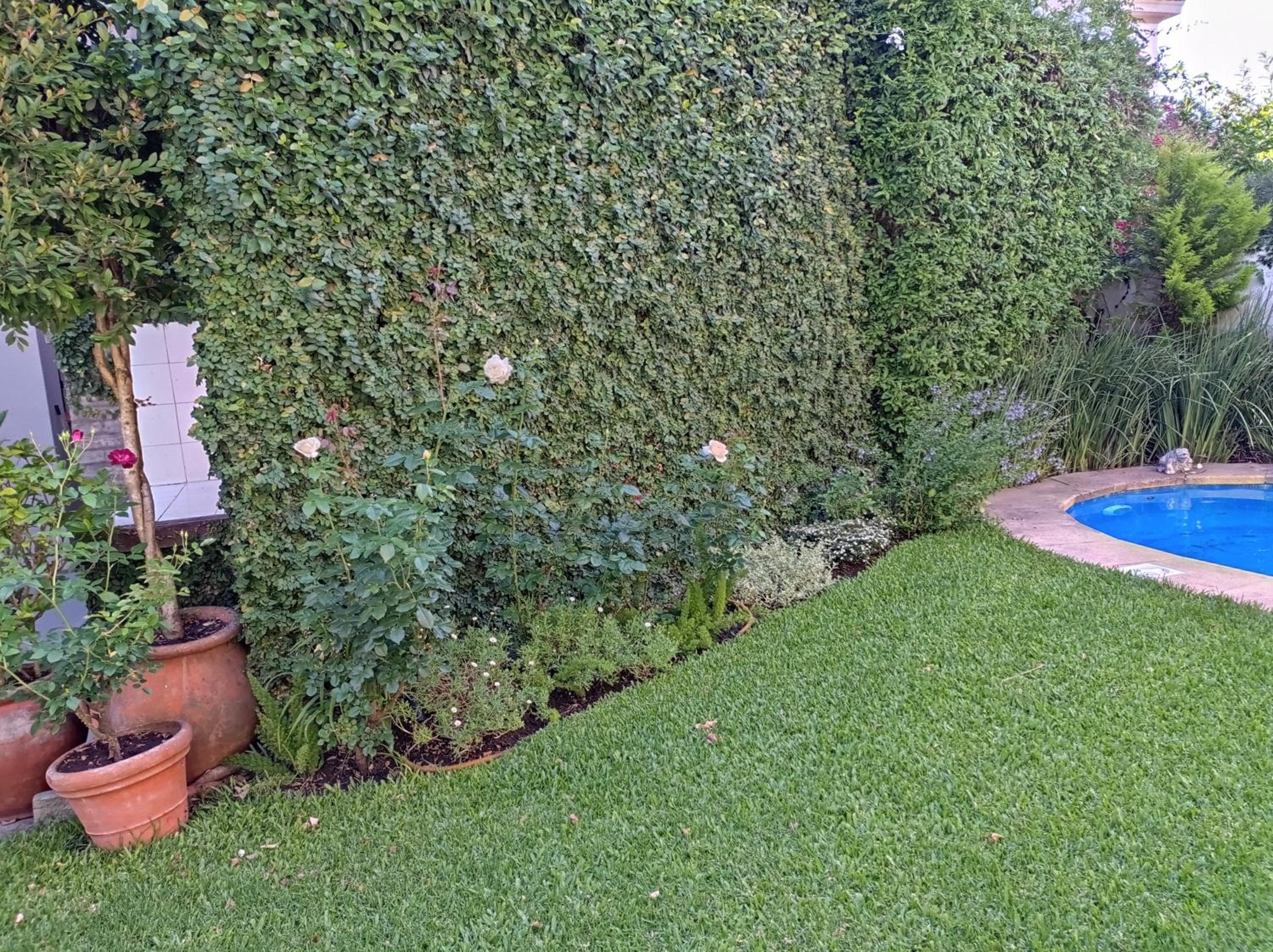 Photo 25