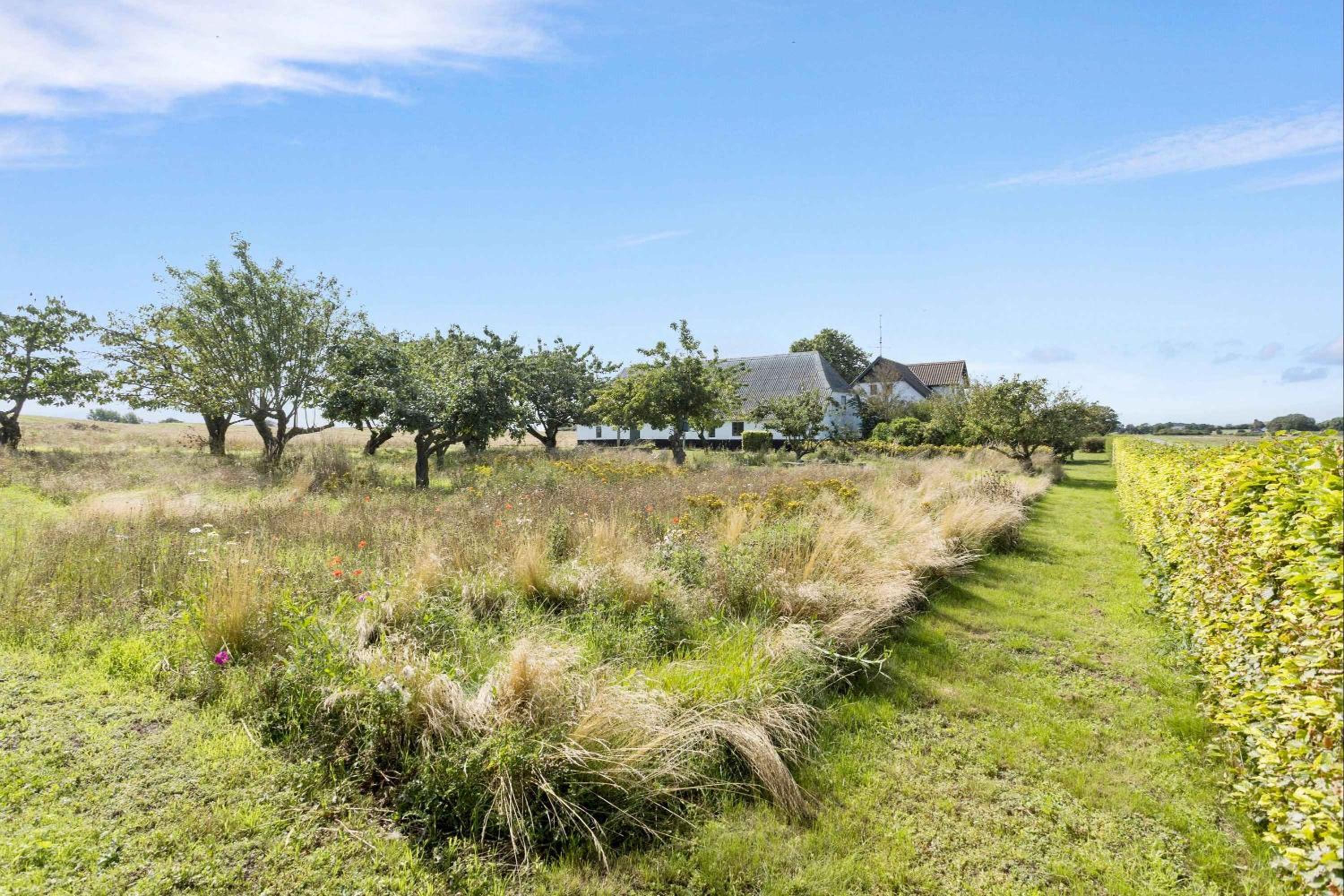 Idyllic Summer Cottage Holiday In The Countrysid