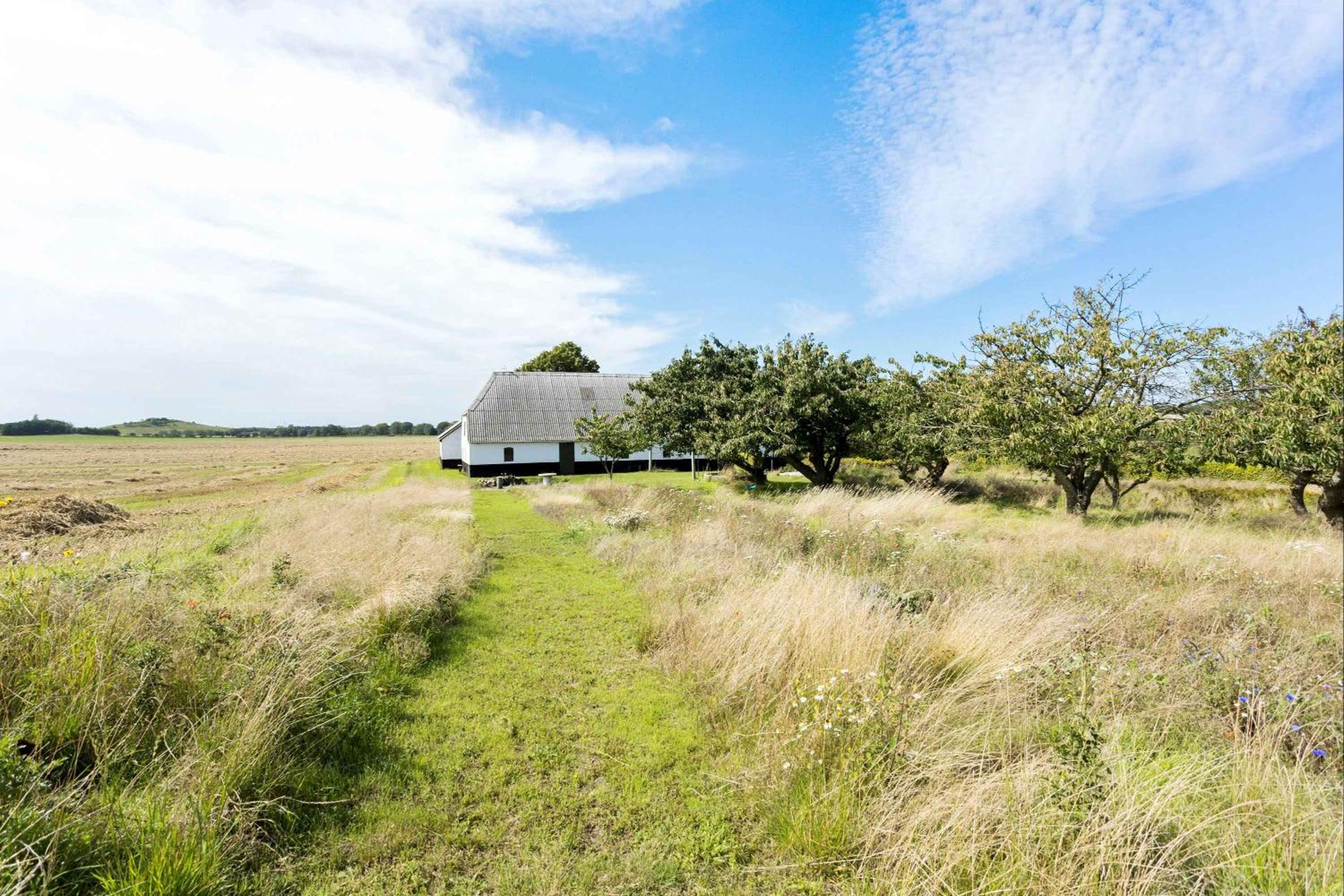 Idyllic Summer Cottage Holiday In The Countrysid