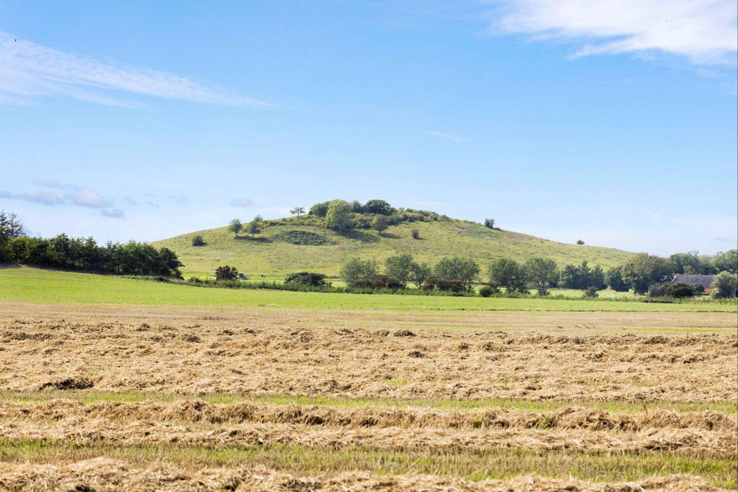 Idyllic Summer Cottage Holiday In The Countrysid