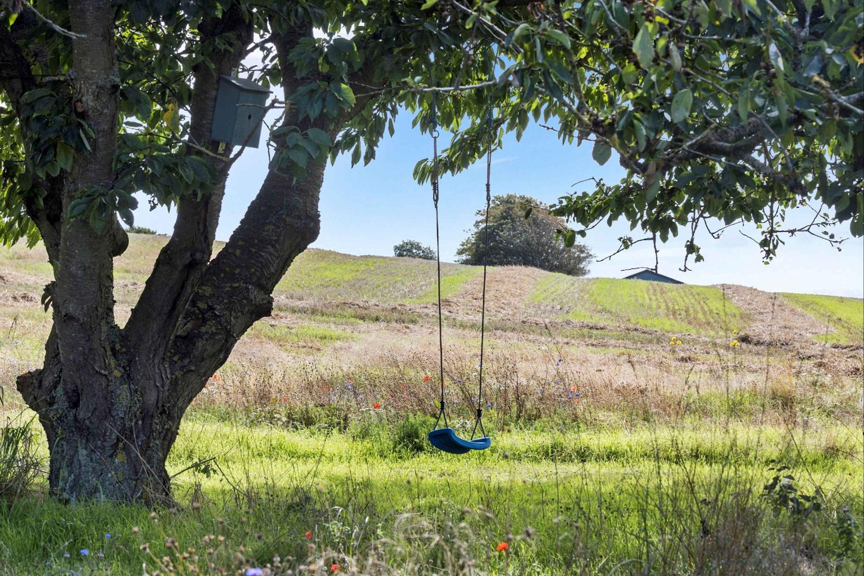 Idyllic Summer Cottage Holiday In The Countrysid