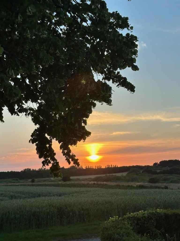 Idyllic Summer Cottage Holiday In The Countrysid