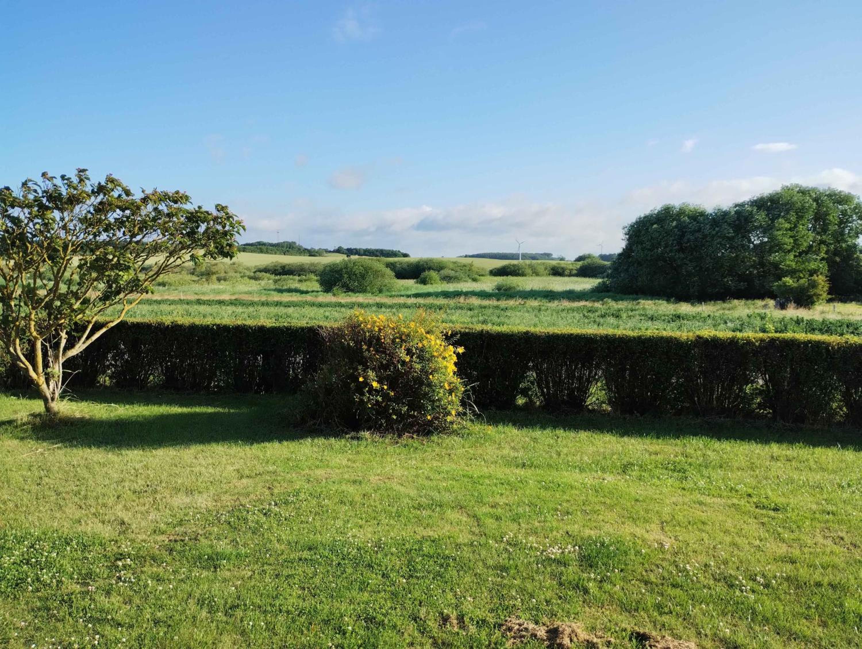 Idyllic Summer Cottage Holiday In The Countrysid