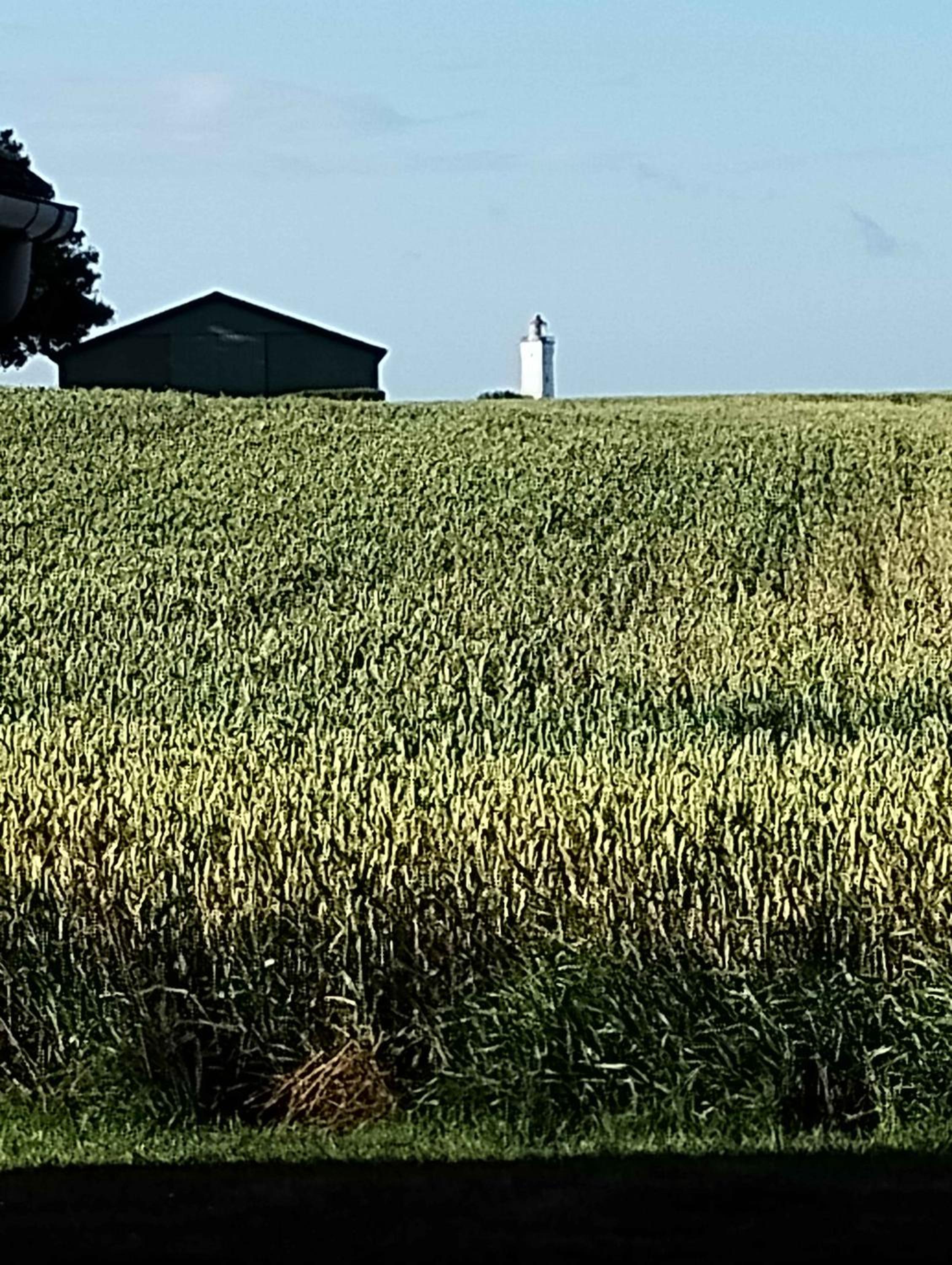 Idyllic Summer Cottage Holiday In The Countrysid