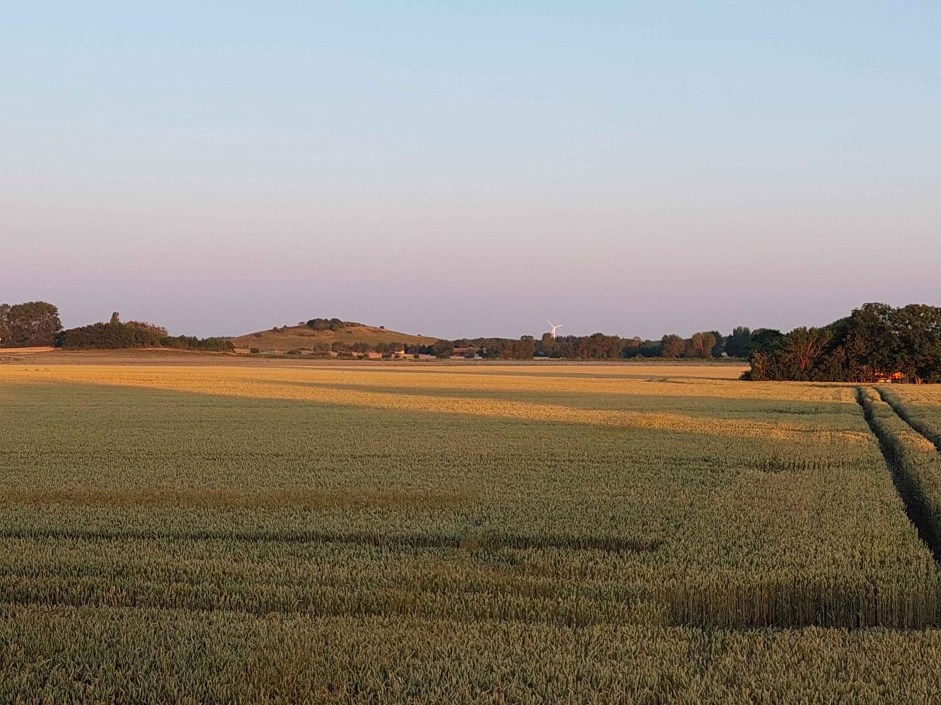 Idyllic Summer Cottage Holiday In The Countrysid