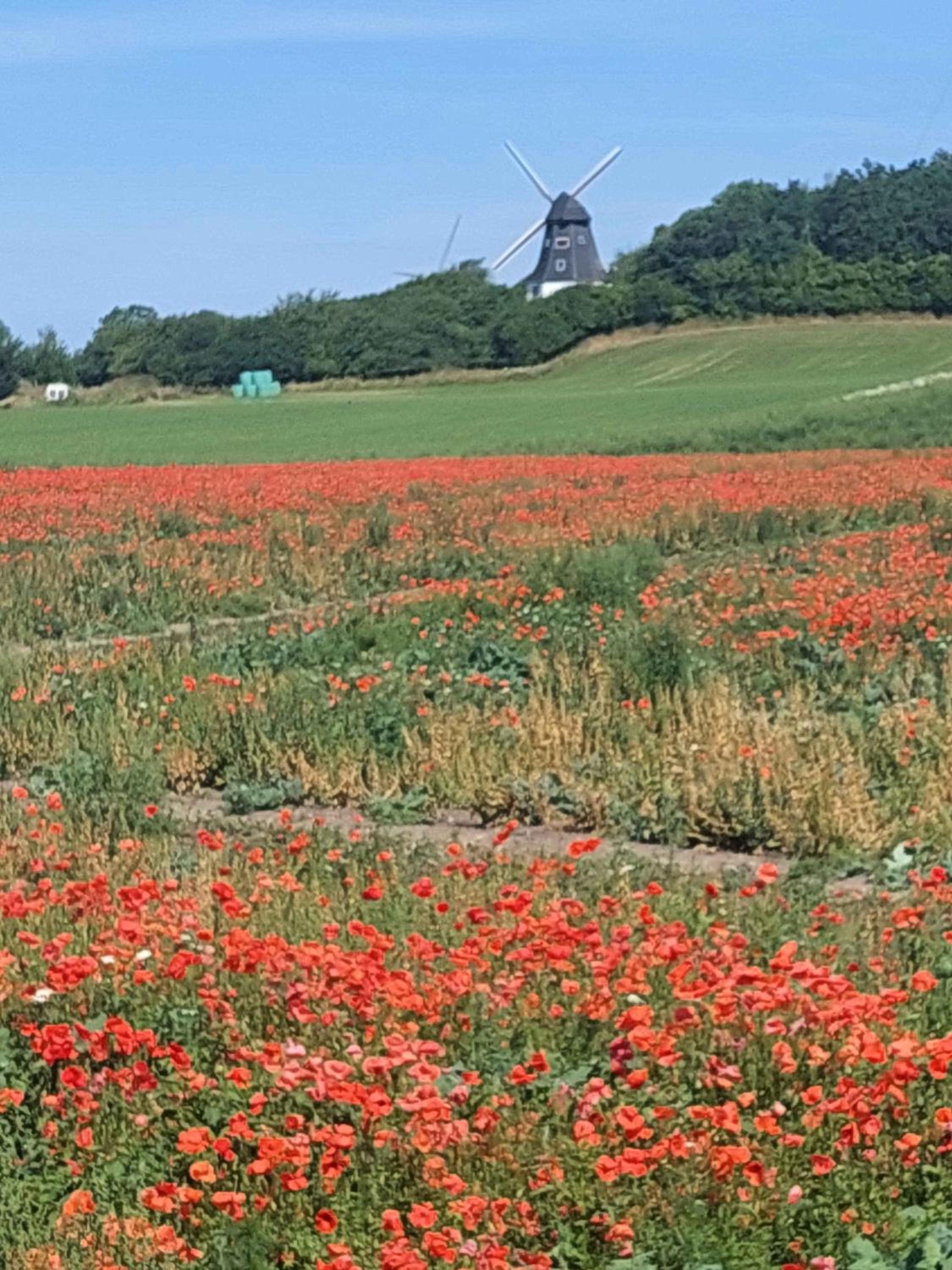 Idyllic Summer Cottage Holiday In The Countrysid
