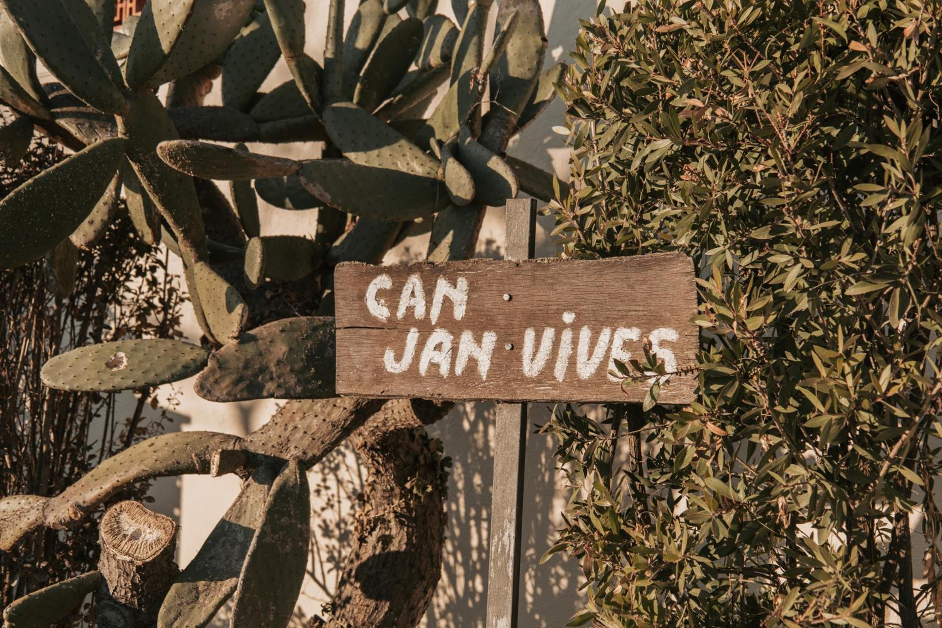 Can Jan Vives