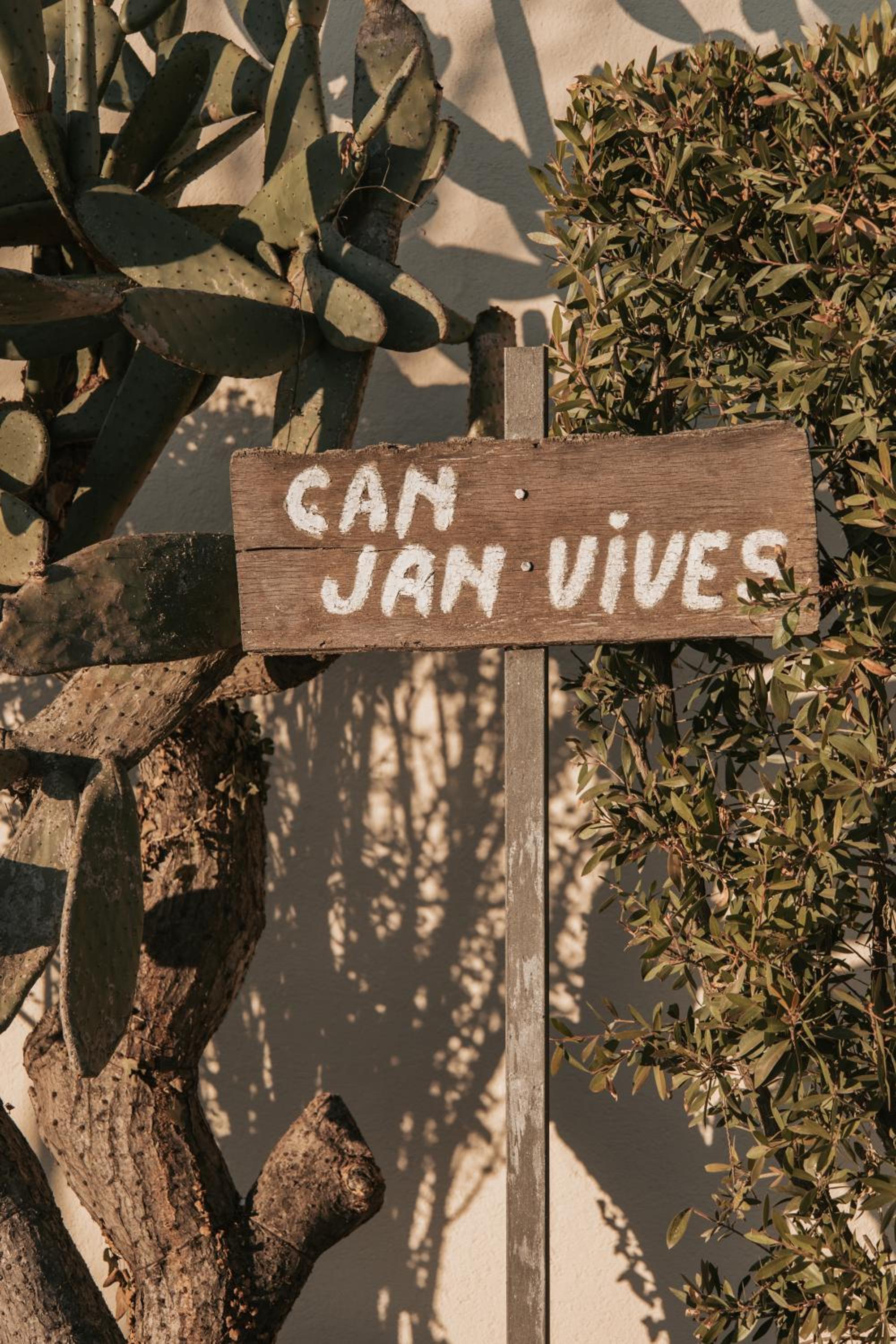 Can Jan Vives