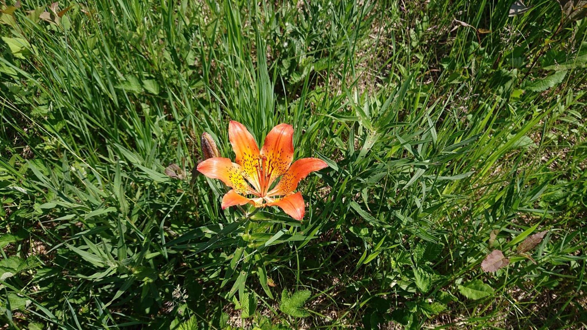 Photo 22