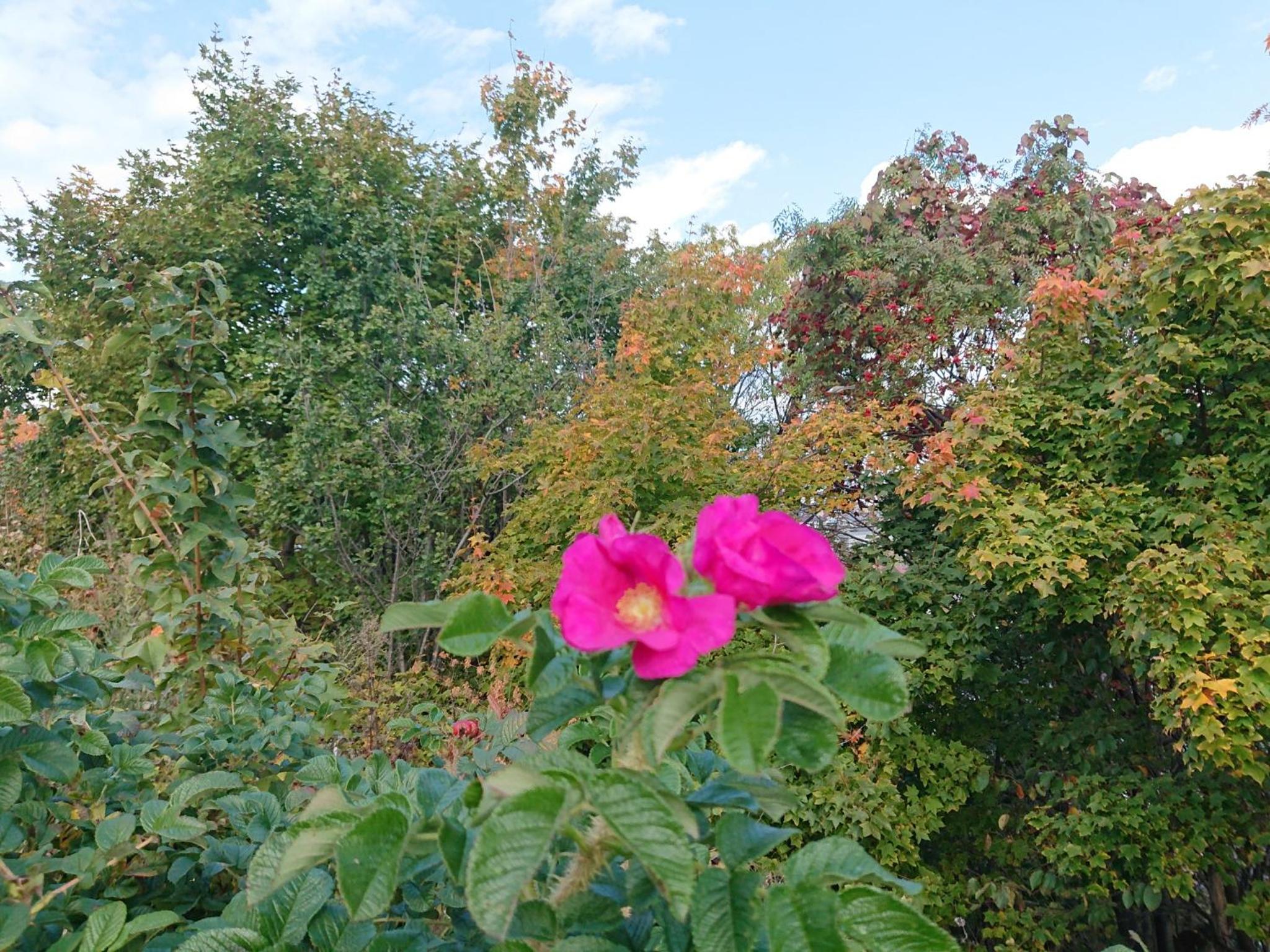 Photo 23